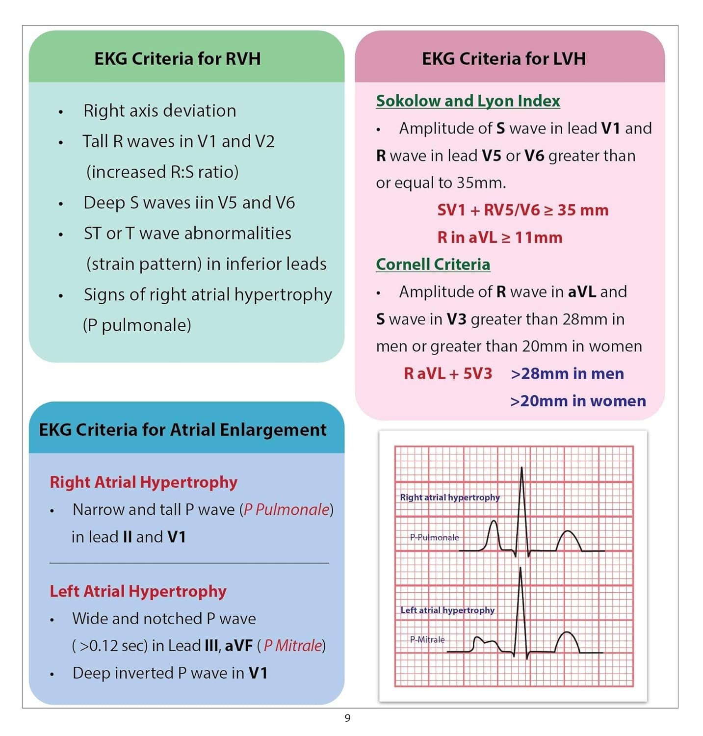 12 Lead EKG Pocket Card