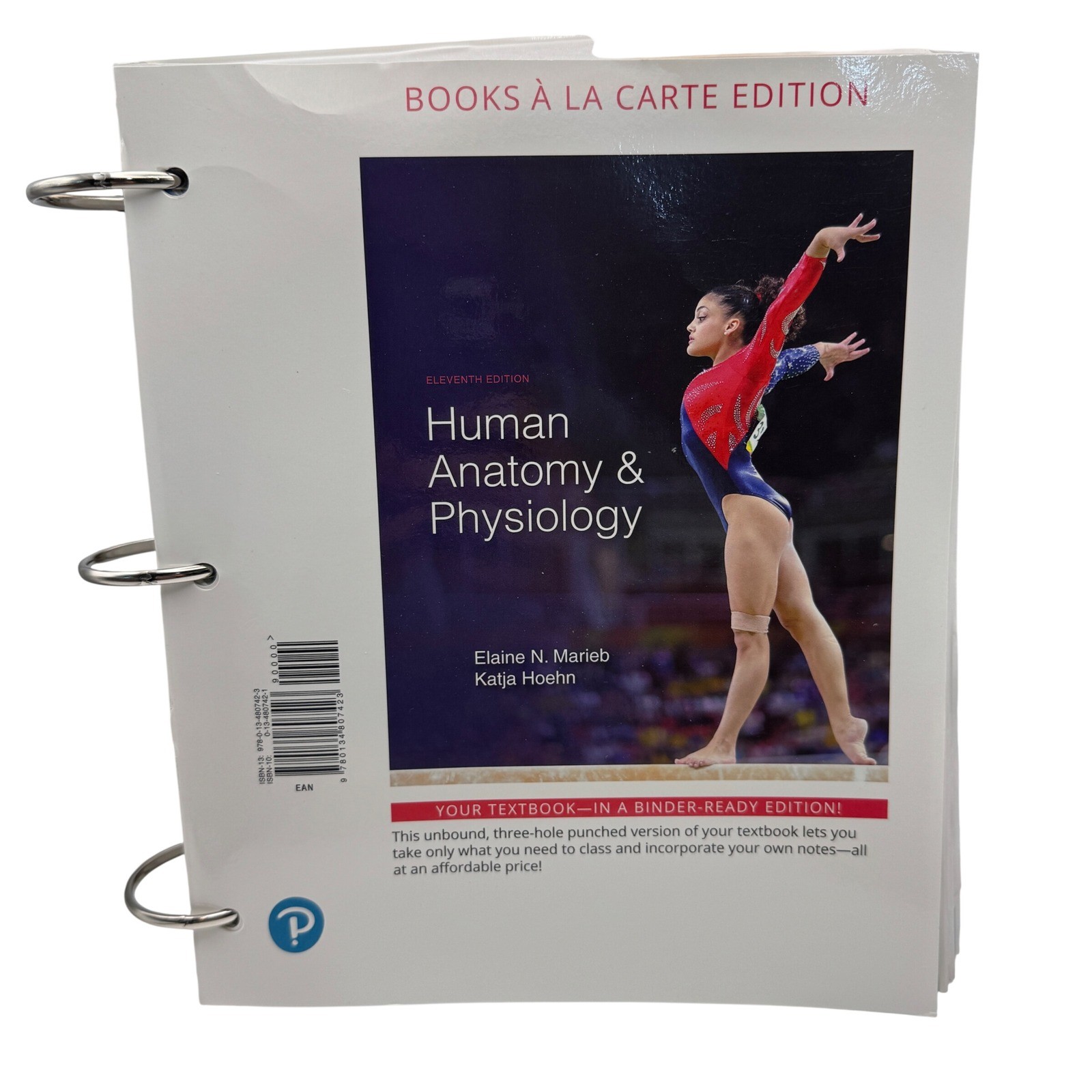 Human Anatomy & Physiology 11th Edition Marieb Hoehn Ringbound Edition