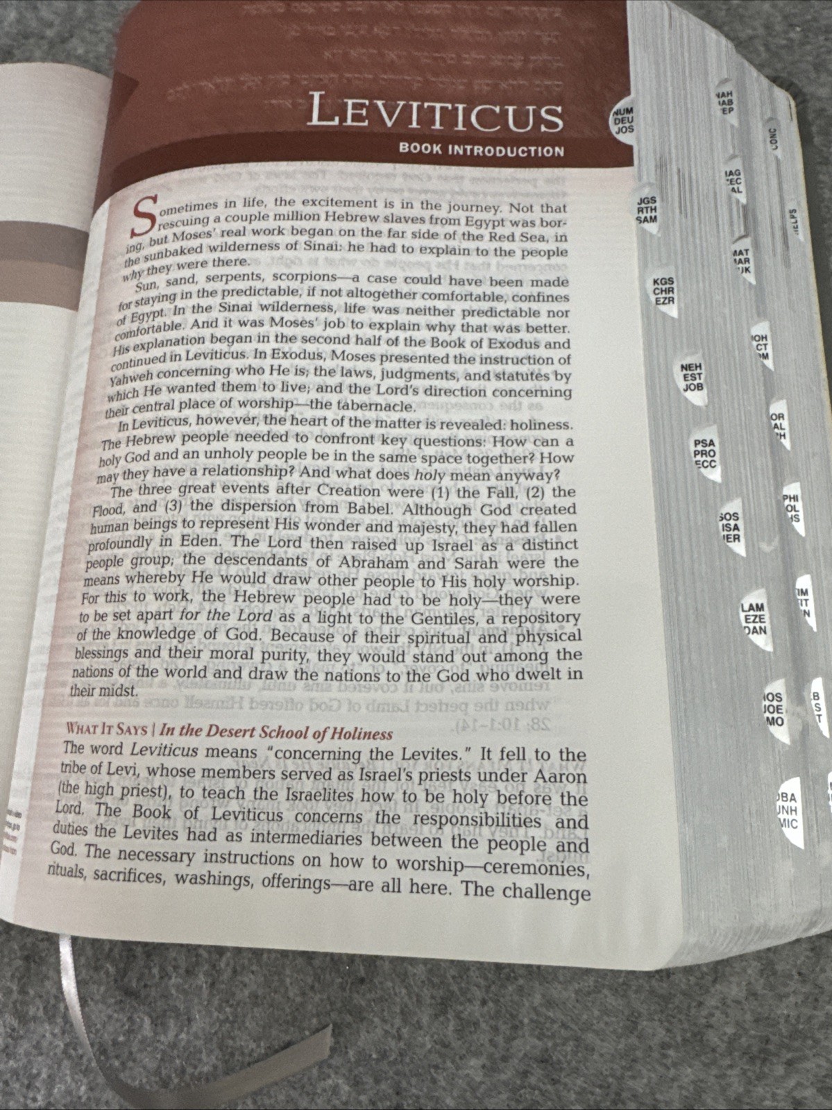 The Jeremiah Study Bible, NIV: (Gray W/ Burnished Edges) Leatherluxe Worthy