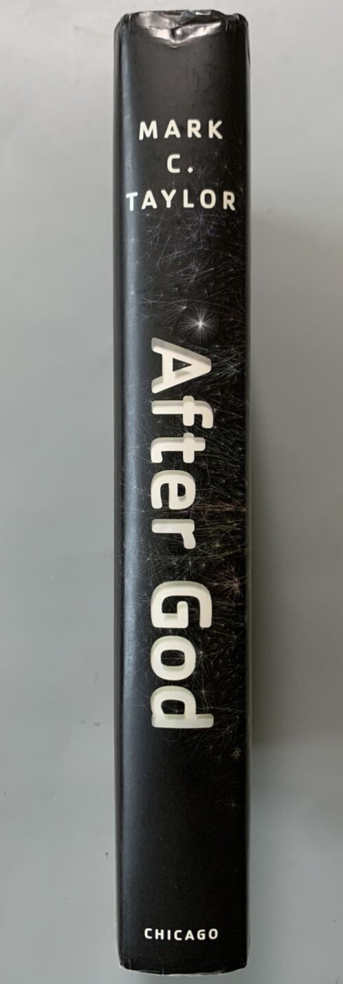 Mark C Taylor After God Hardcover Dust Jacket Clean Chicago Press G+
