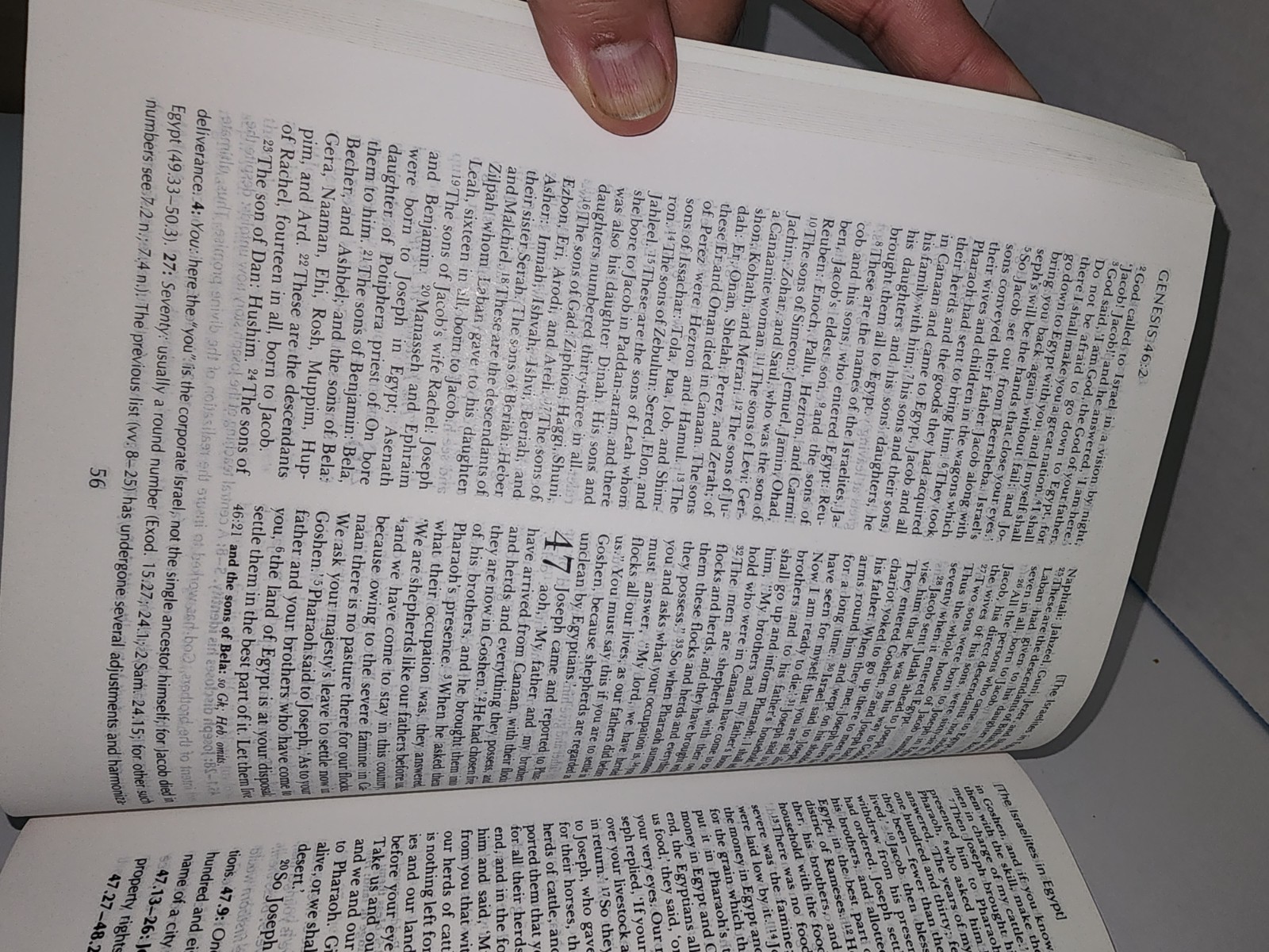The Oxford Study Bible: Revised English Bible with the Apocrypha – paperback…