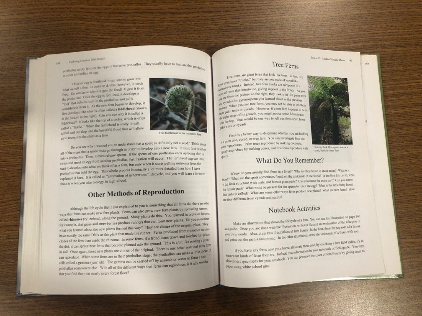 Young Explorer Series: Exploring Creation with Botany Textbook-Jeannie Fulbright