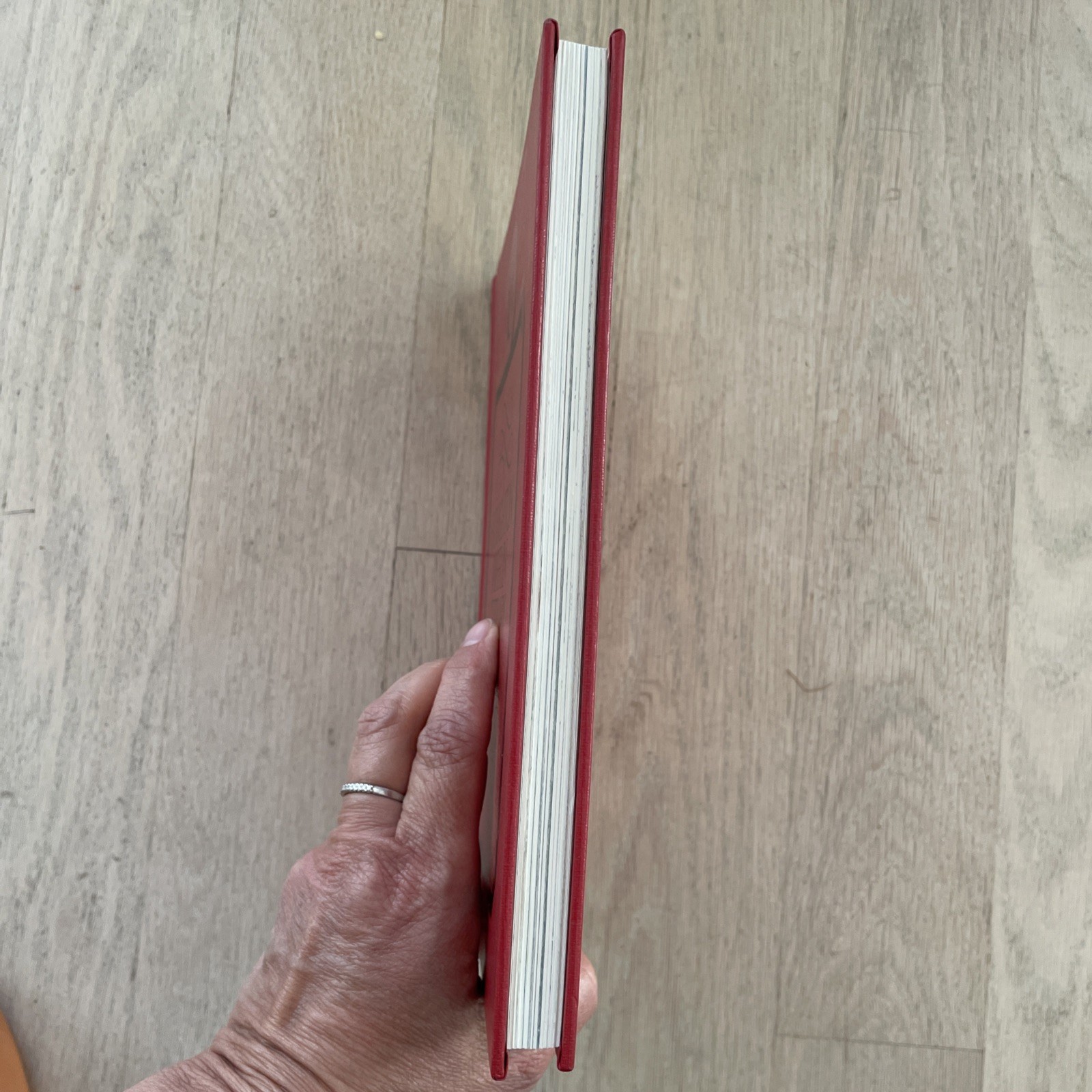 Houghton Mifflin Literary Readers 1989 Book 1 EUC