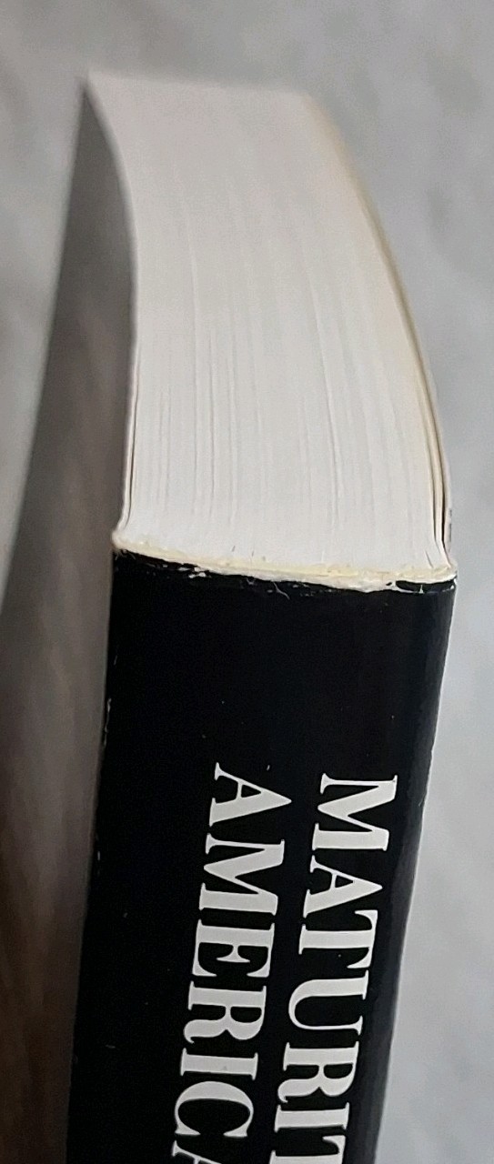 Maturity and Stagnation in American Capitalism Josef Steindl 1976 Paperback