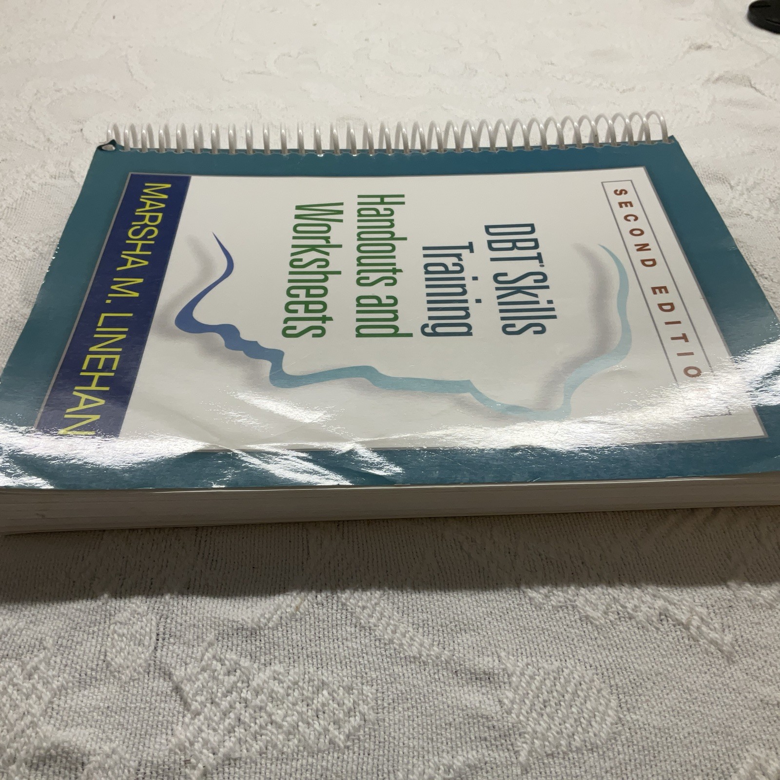 DBT Skills Training Handouts and Worksheets, Second Edition Paperback Linehan