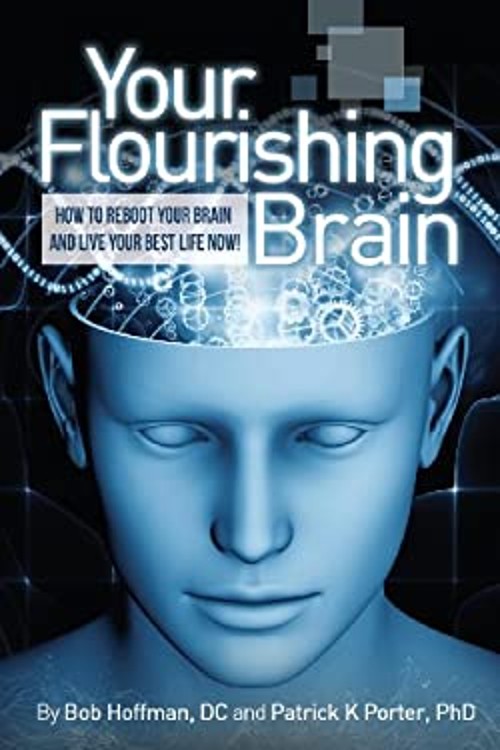 Your Flourshing Brain, How to Reboot Your Brain and Live Your Bes