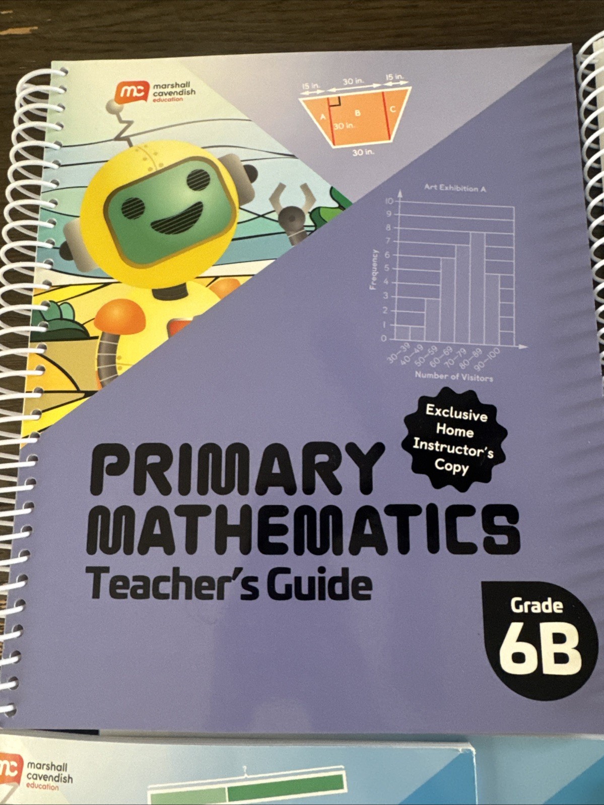 NEW Primary Mathematics Teacher’s Guide Grade 6A 6b student book Math Curriculum