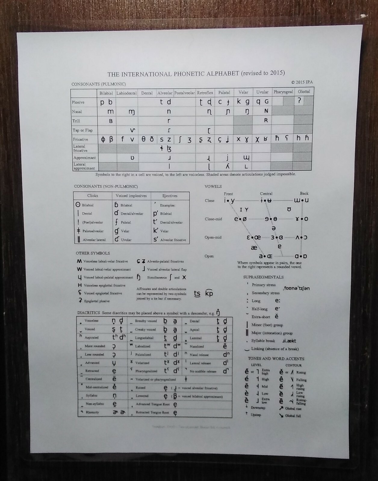 International Phonetic Alphabet Chart 11 x 9 inches ~ Laminated ~ FREE Shipping