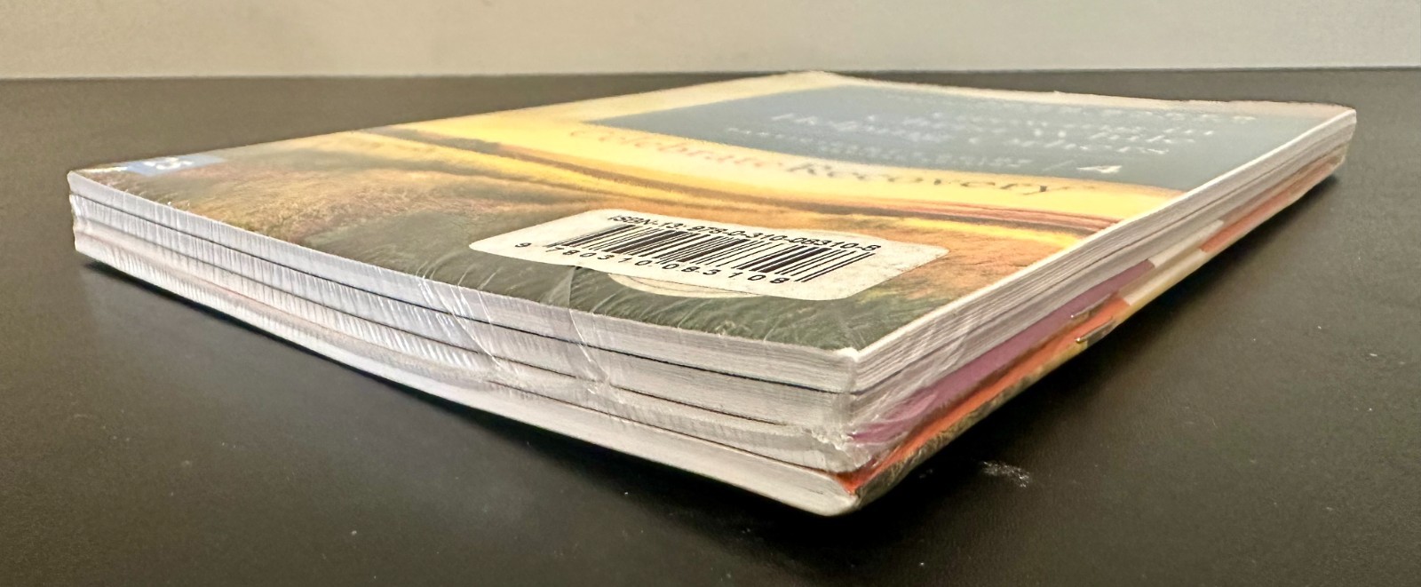 Celebrate Recovery Updated Participant’s Guide 4 Volume Set by John Baker *NEW*