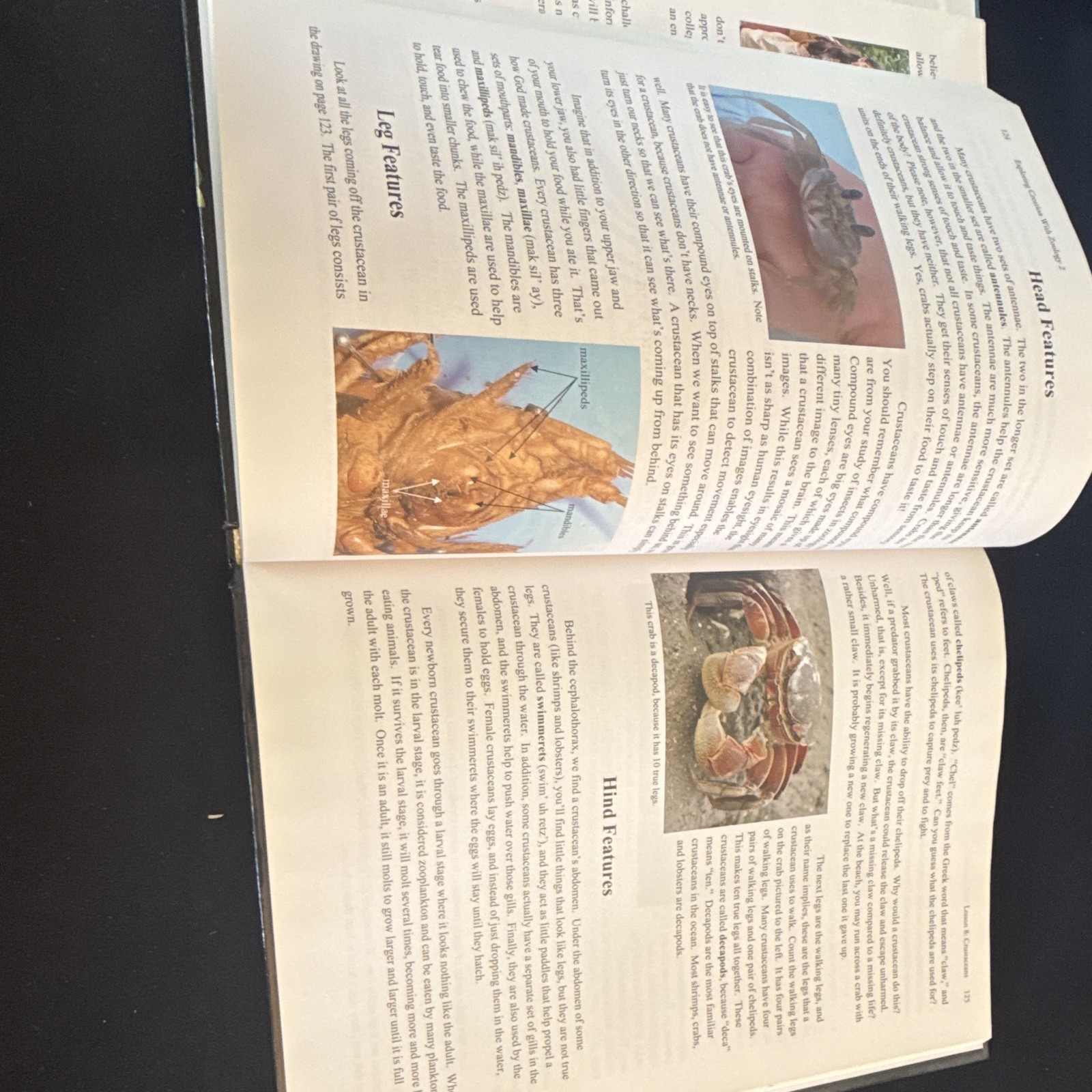 Exploring Creation with Zoology 2 Young Explorer HC Illustrated Fulbright 2006