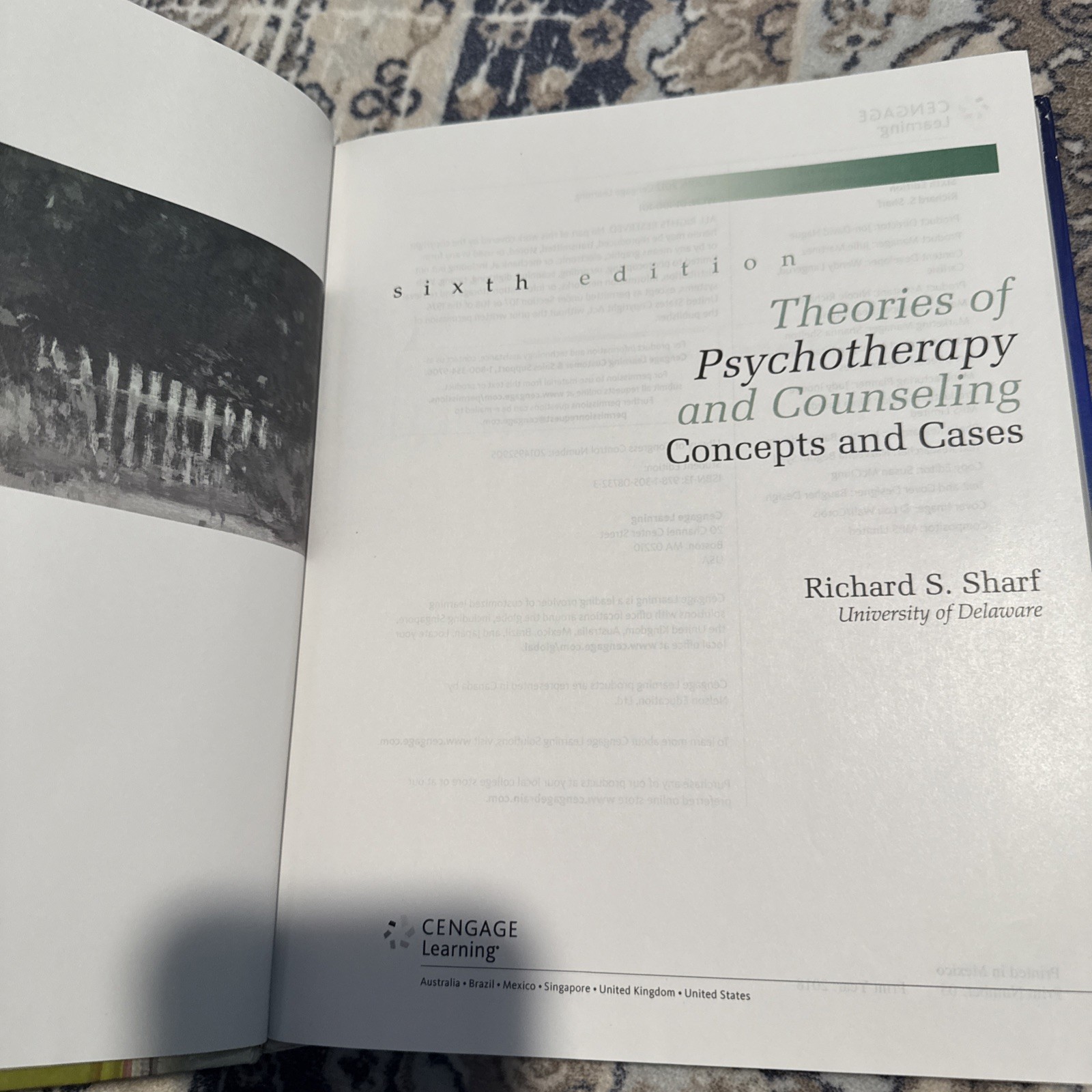 Theories of Psychotherapy & Counseling: Concepts and Cases 6th Edition *GOOD*