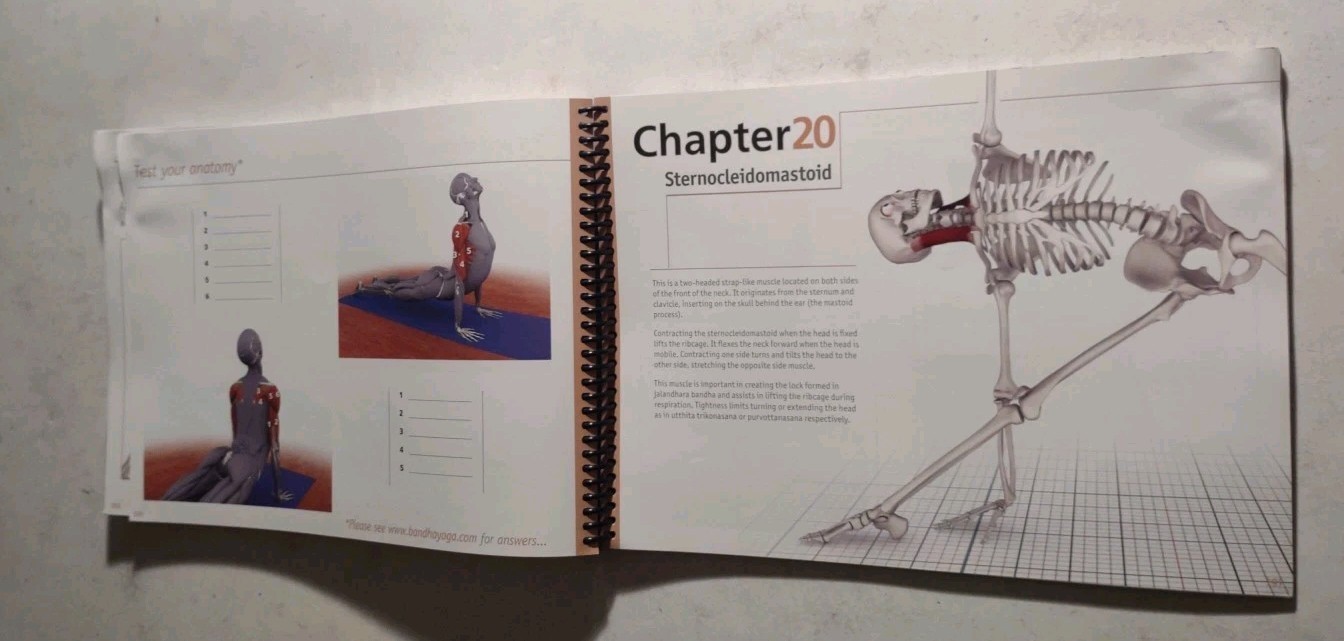 Scientific Keys Volume 1 The Key Muscles of Hatha Yoga by Raymond A. Long 2006.