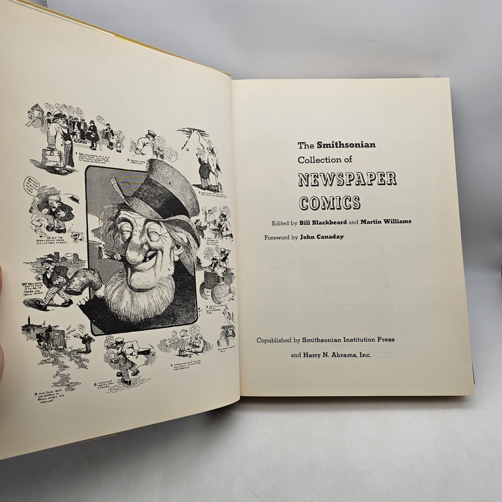 The Smithsonian Collection Of Newspaper Comics 1977 Hardcover Book Blackbeard