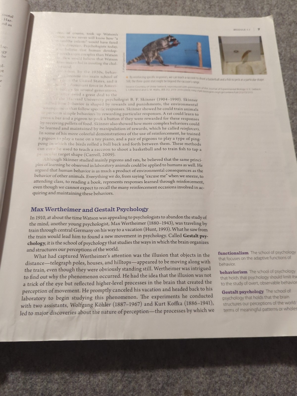 Essentials of Psychology Concepts and Applications by Jeffrey S Nevid 4th Ed.