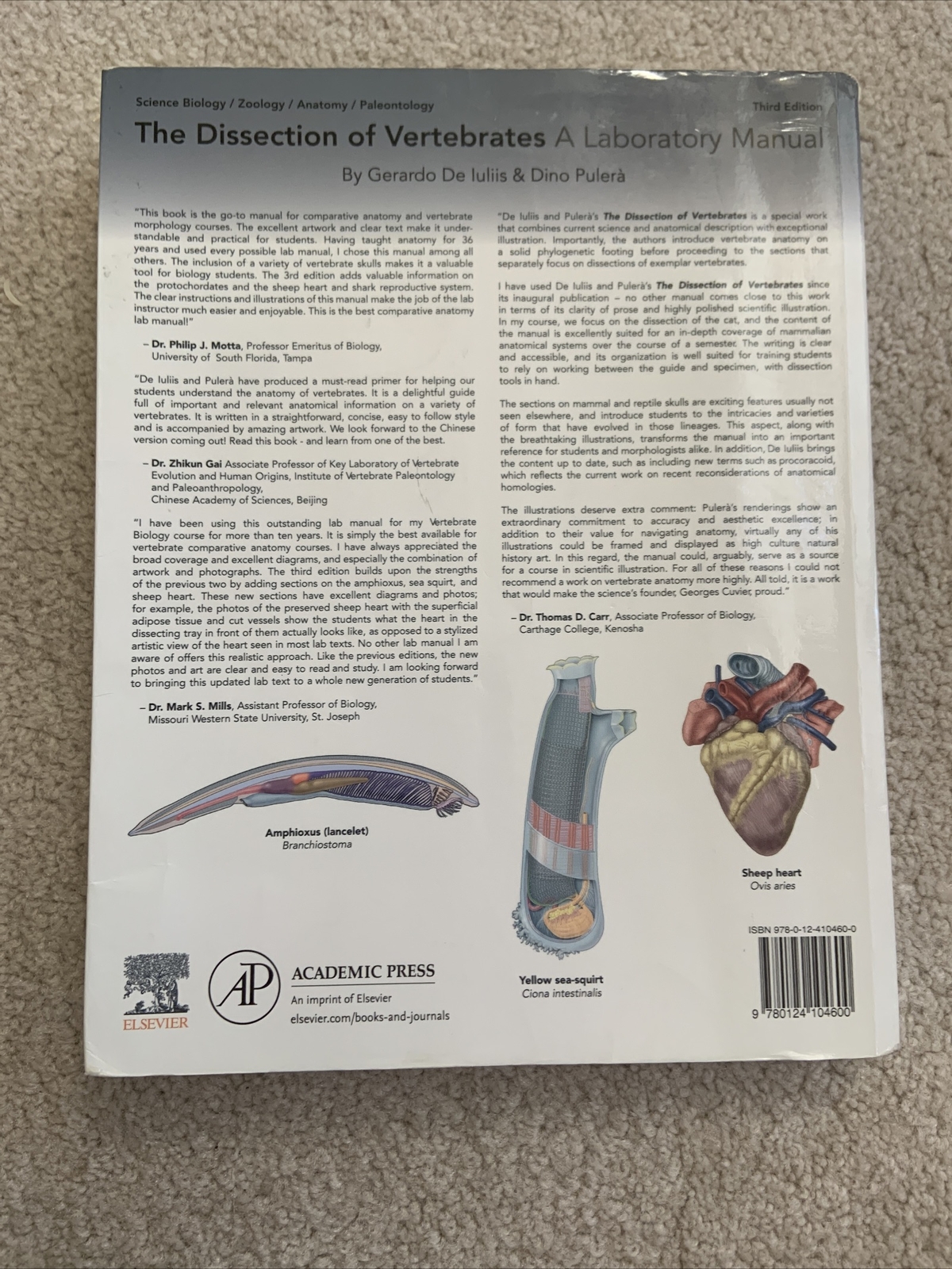 The Dissection of Vertebrates by Dino Pulera and Gerardo De Iuliis (2019, Trade