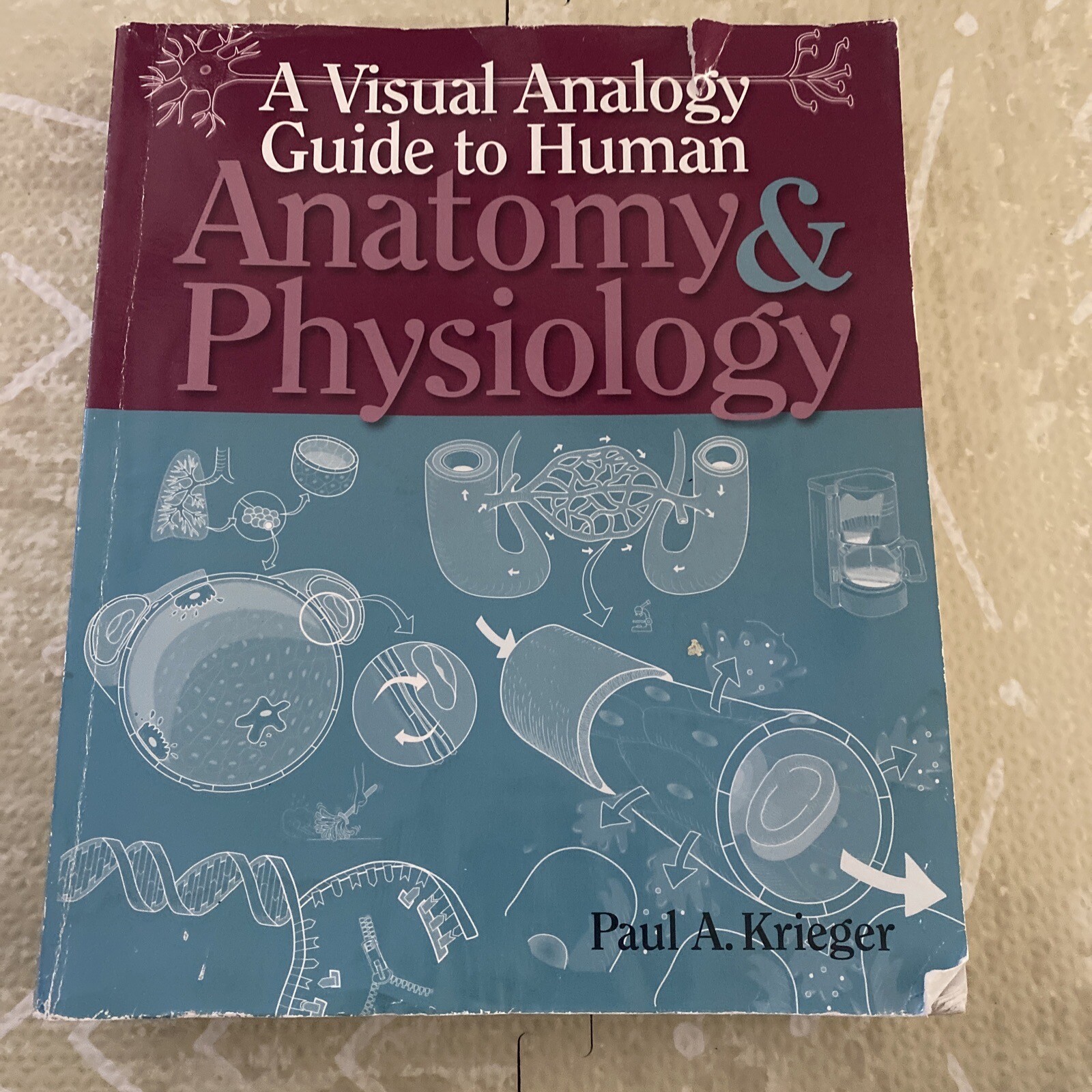 A Visual Analogy Guide to Human Anatomy 2nd edition Krieger, Paul A