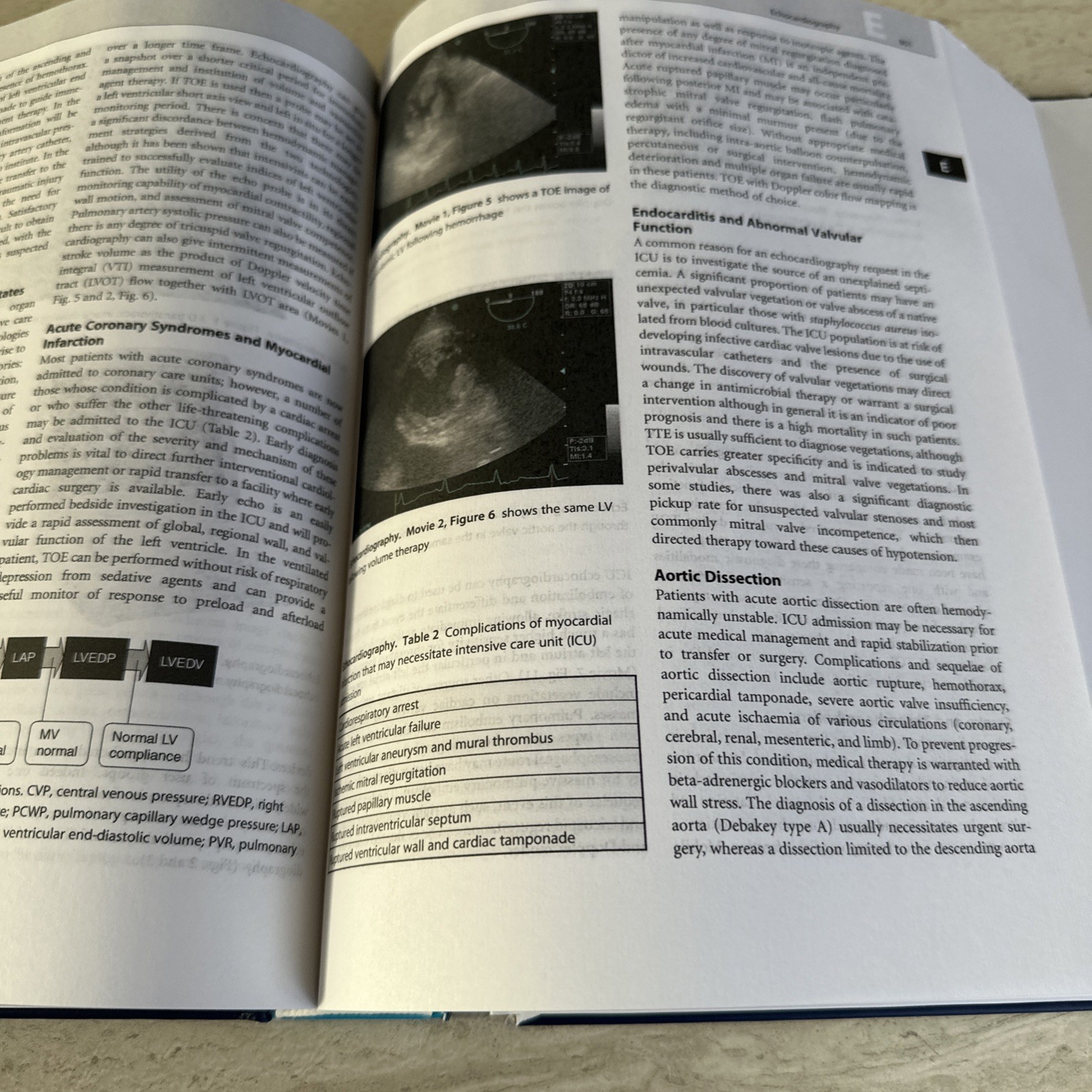 Encyclopedia of Intensive Care Medicine Jesse B. Hall (2012, Hardcover) VOLUME 2