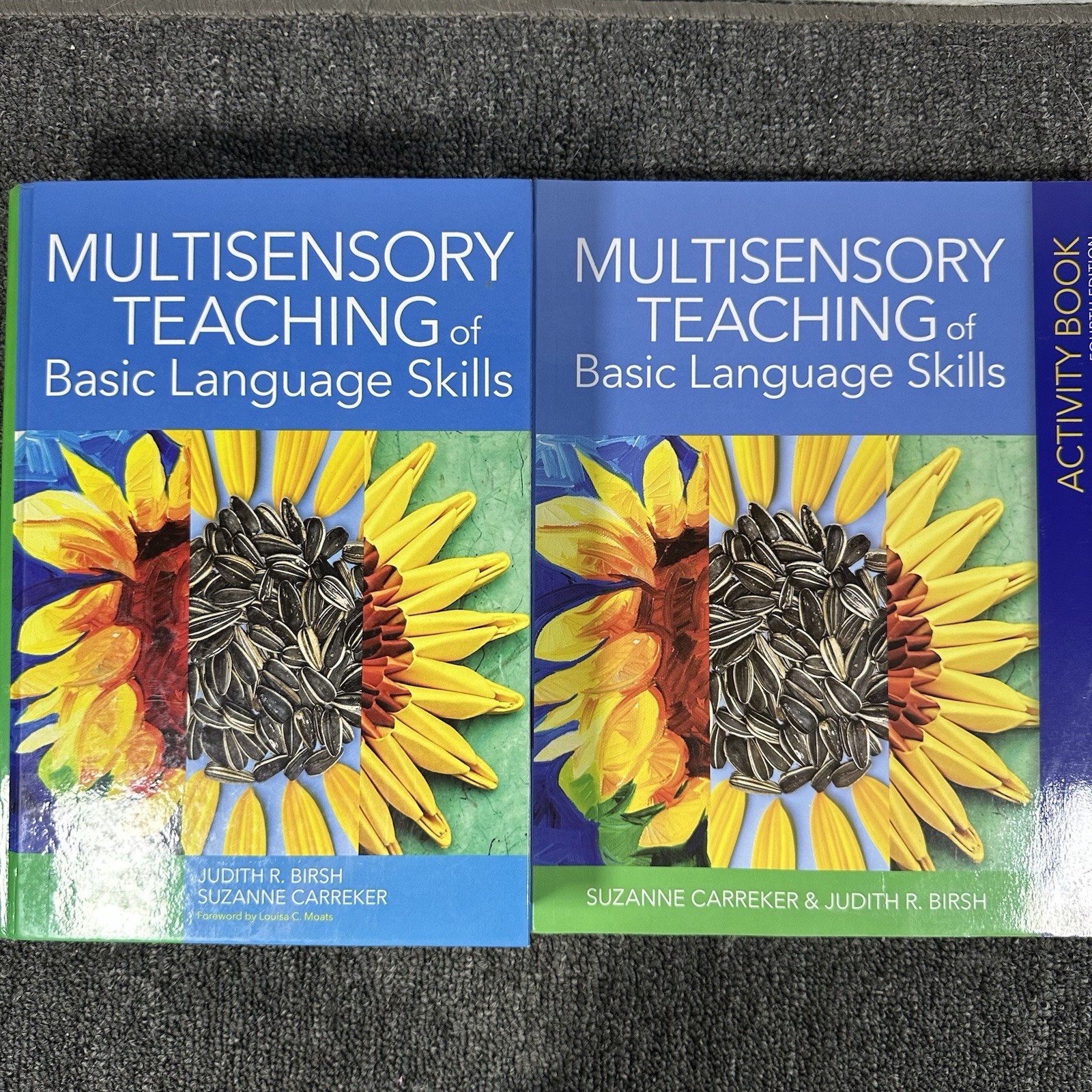 Multisensory Teaching of Basic Language Skills 4th EDT Text And Activity Book