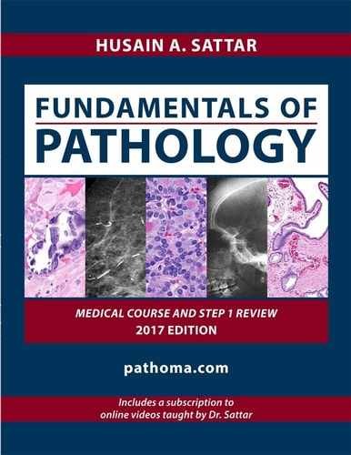 Fundamentals of Pathology Medical – Paperback, by Sattar Husain A. – Very Good o