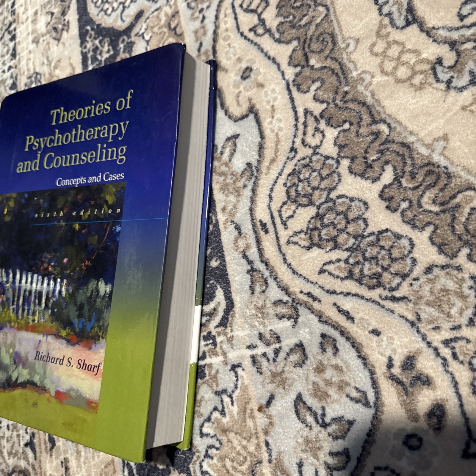 Theories of Psychotherapy & Counseling: Concepts and Cases 6th Edition *GOOD*