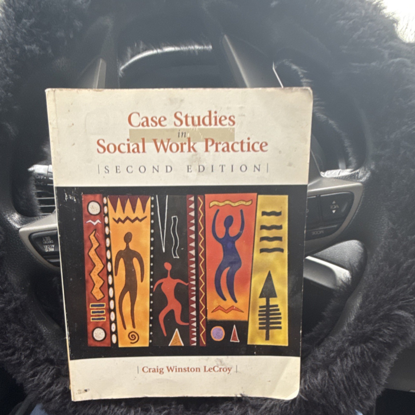 Craig Winston LeCroy Case Studies in Social Work Practice 2nd Ed Paperback 1999