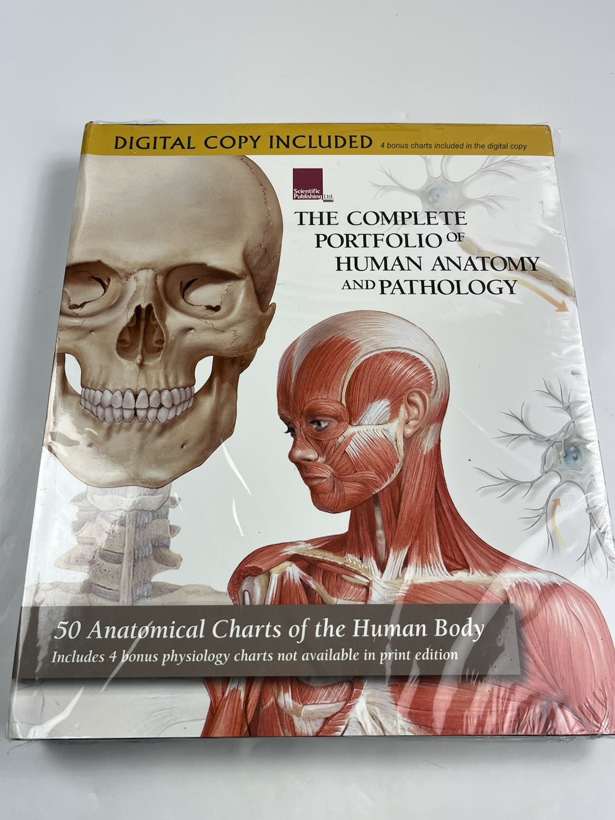 The Complete Portfolio of Human Anatomy and Pathology