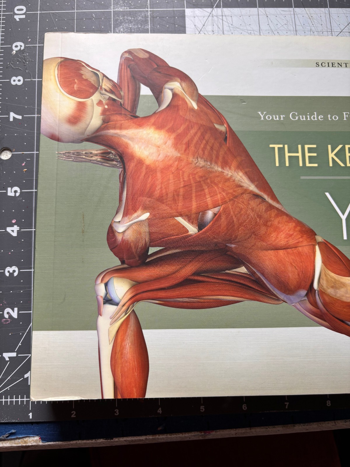 Key Muscles of Yoga Ray Long Vol 1 & 2 Scientific Keys Bandha Yoga Anatomy Set