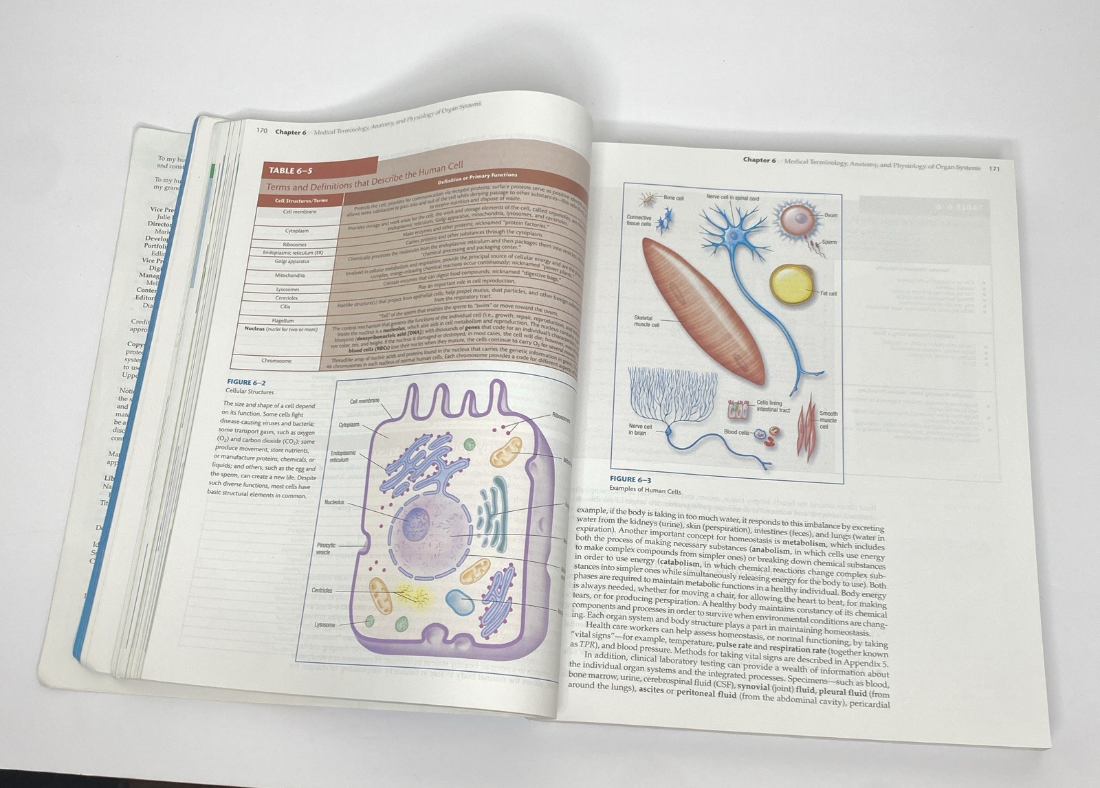 Phlebotomy Handbook Blood Specimen Collection 10th Edition VG