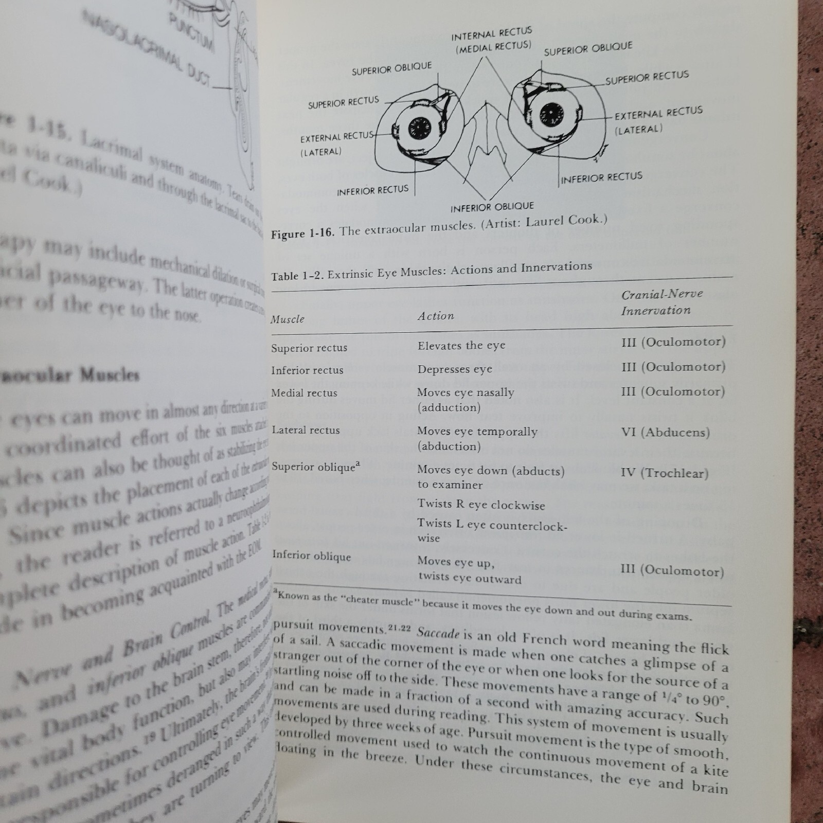 Ophthalmology The Essentials by David Miller, MD 1979 paperback like new