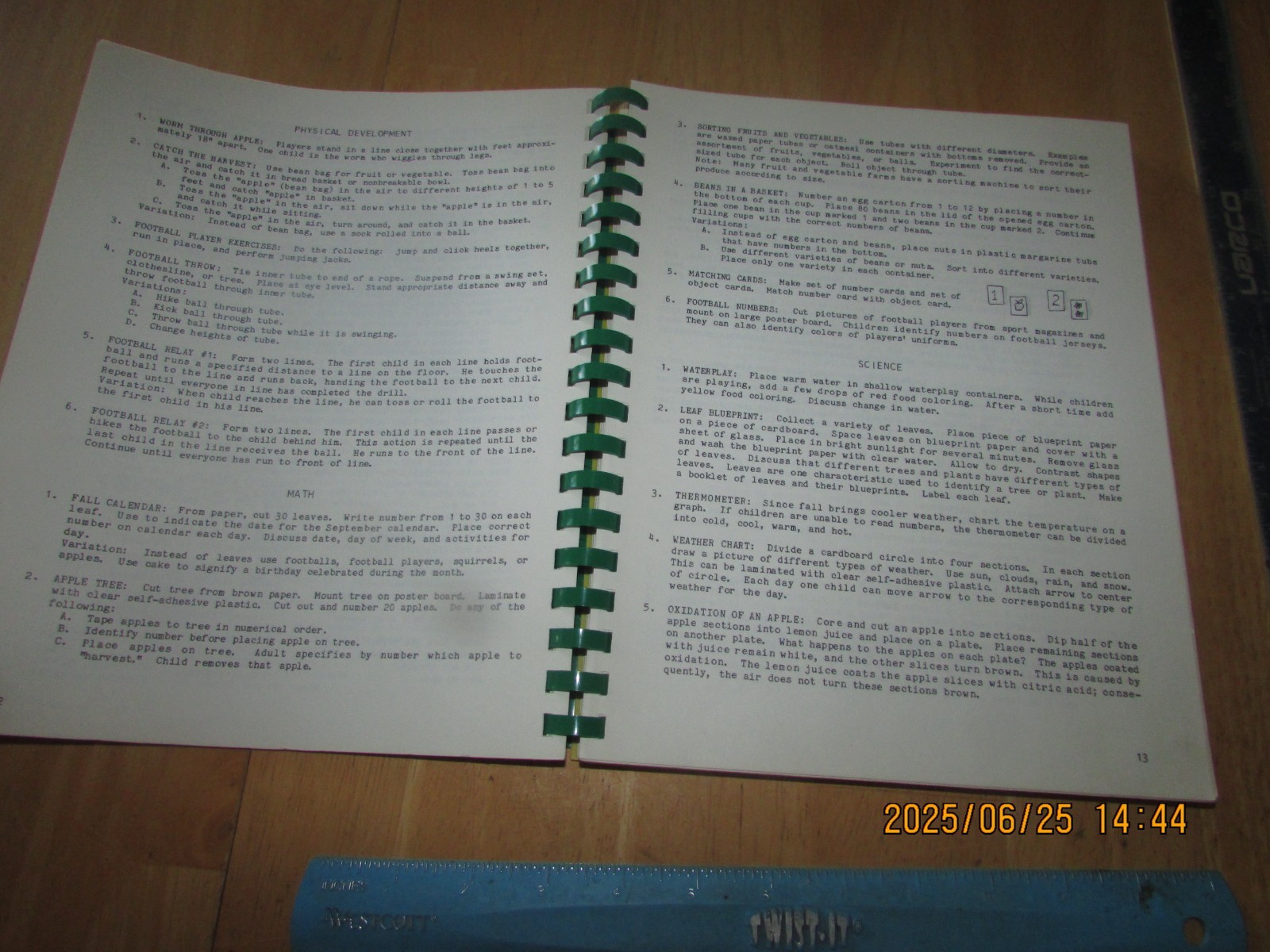 Early Childhood Activity Guide for Holidays and Seasons by Carol Beckman
