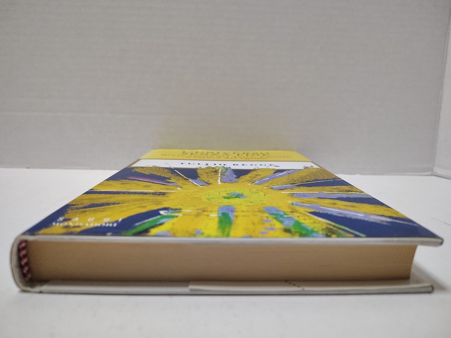 L’UNIVERSO SENZA FINE by Tullio Regge ~ Italian Edition (1999, 1st Ed HC/DJ)