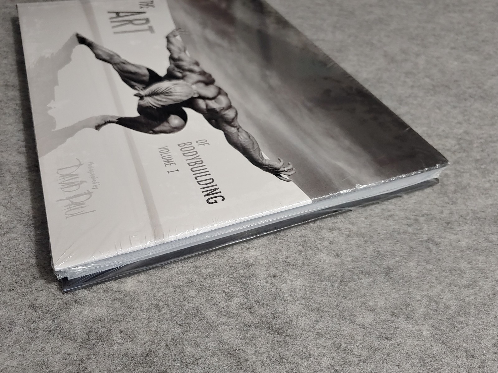 The Art of Bodybuilding Vol 1 David Paul Book New Sealed Rare Barbarian Brothers