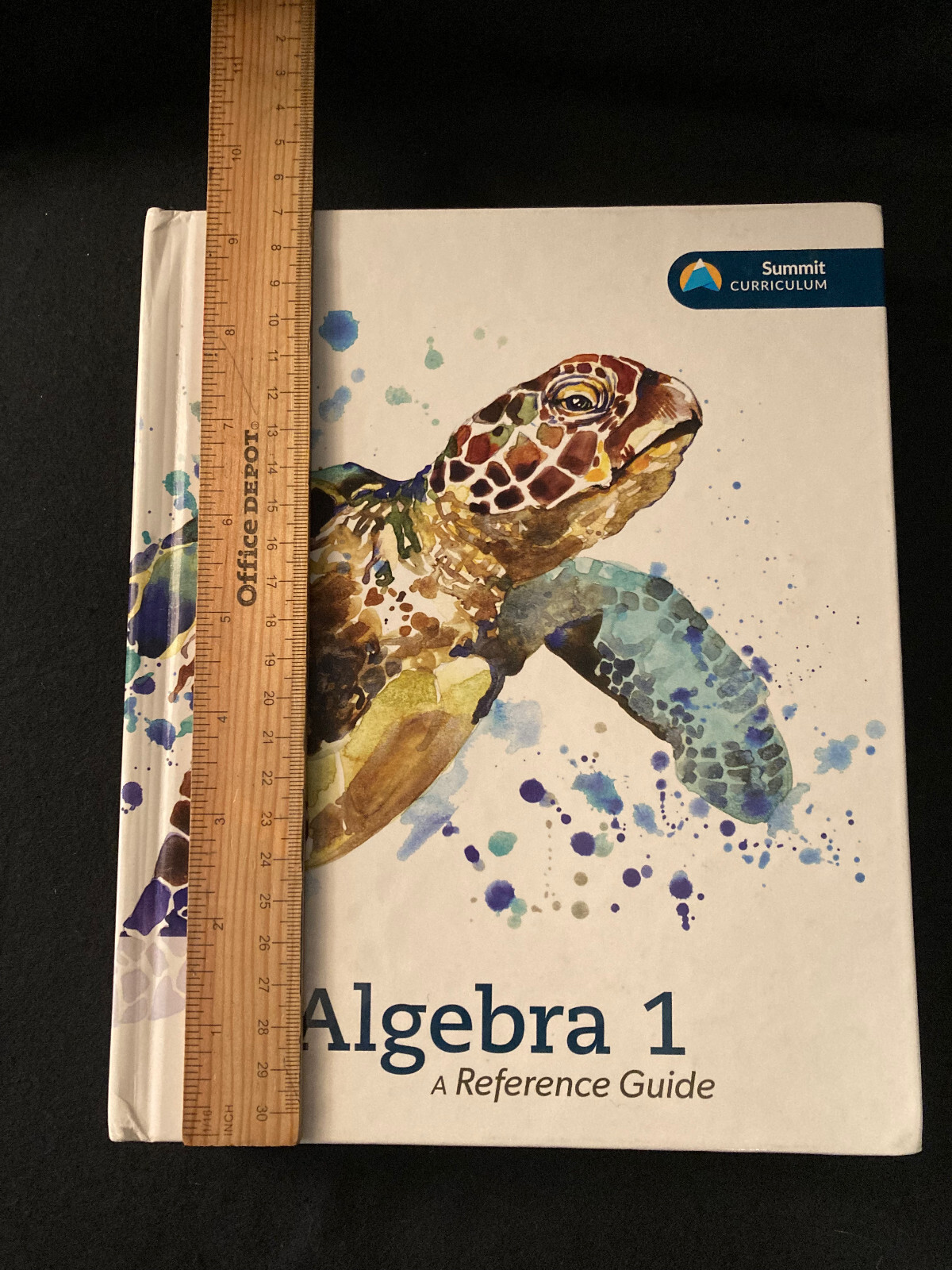 Algebra 1 Hard Cover Textbook Summit K12 500 Pages w/Glossary