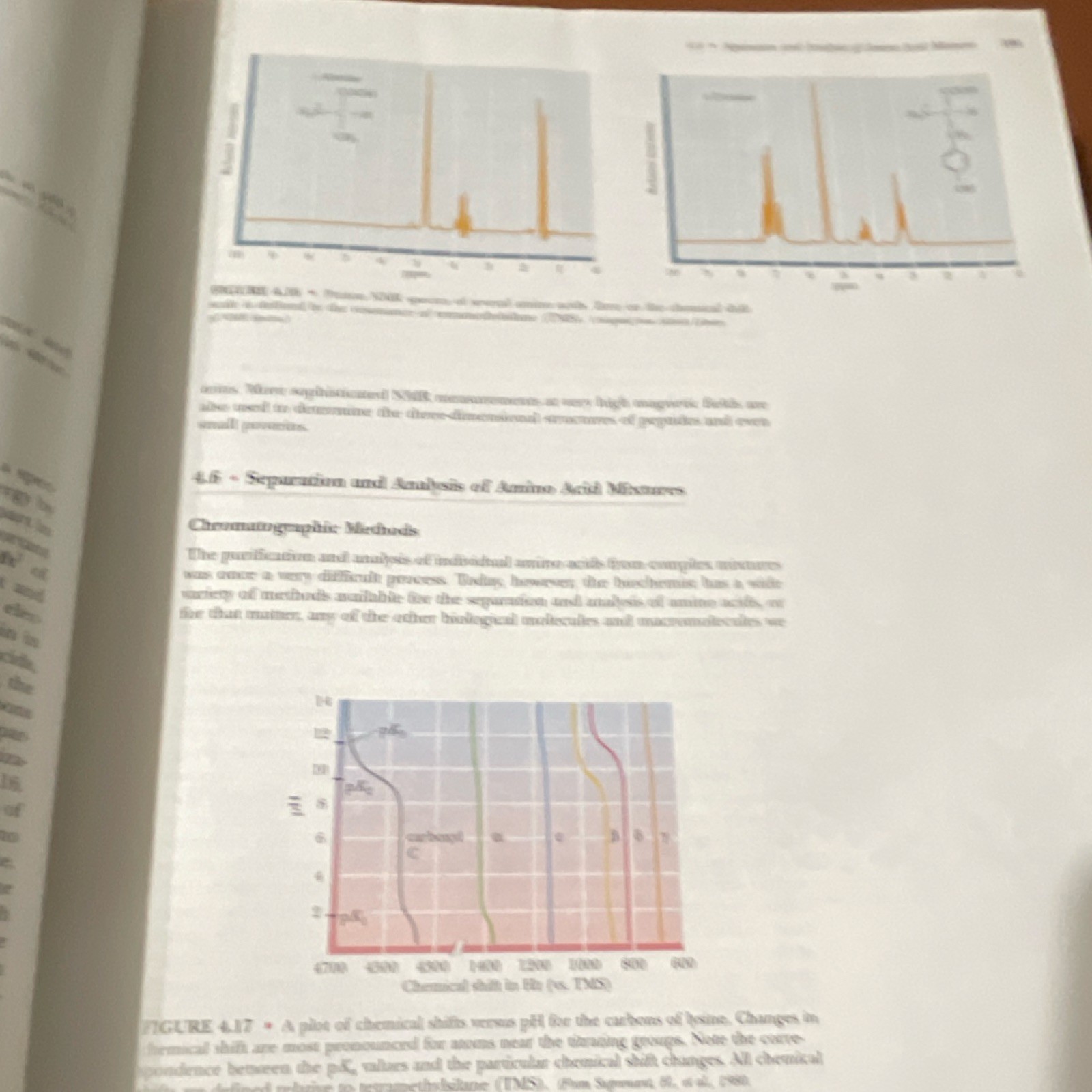Biochemistry Second Edition Garrett & Grisham Saunders Hardcover Sunburst Series