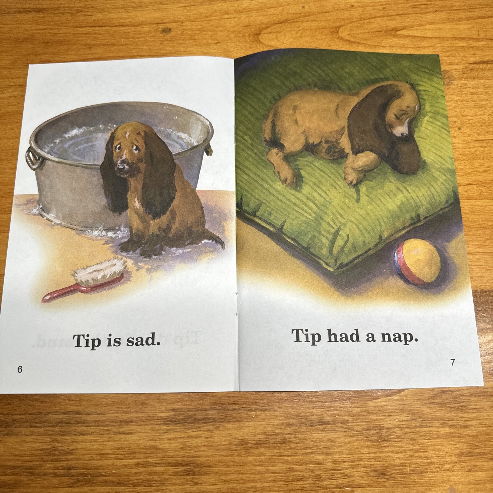 Abeka Animal Friends Book Set incl. 8 Booklets Readers Homeschool Reading NEW