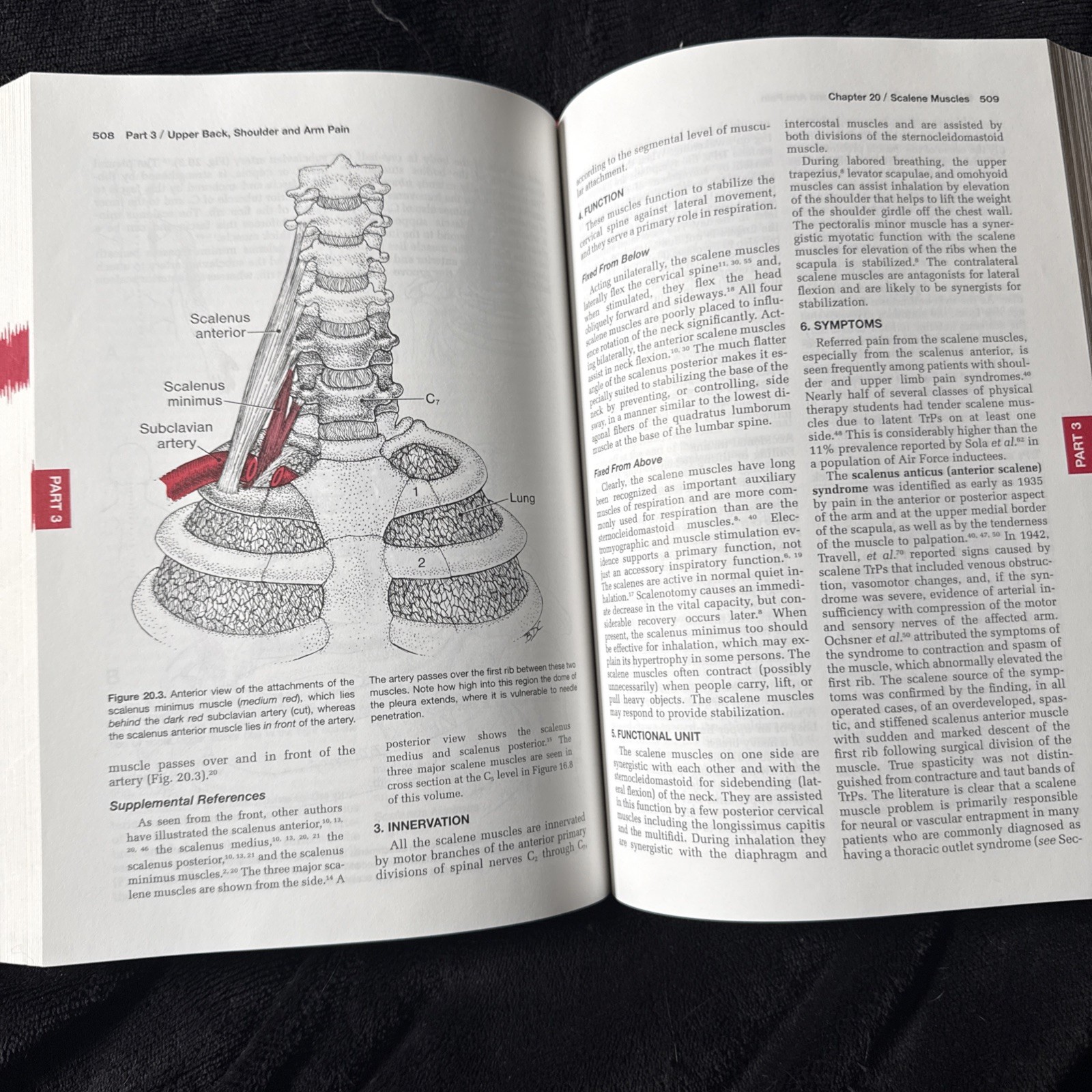 Travel & Simon’s Myofascial Pain and Dysfunction Trigger Point Manual Vol I