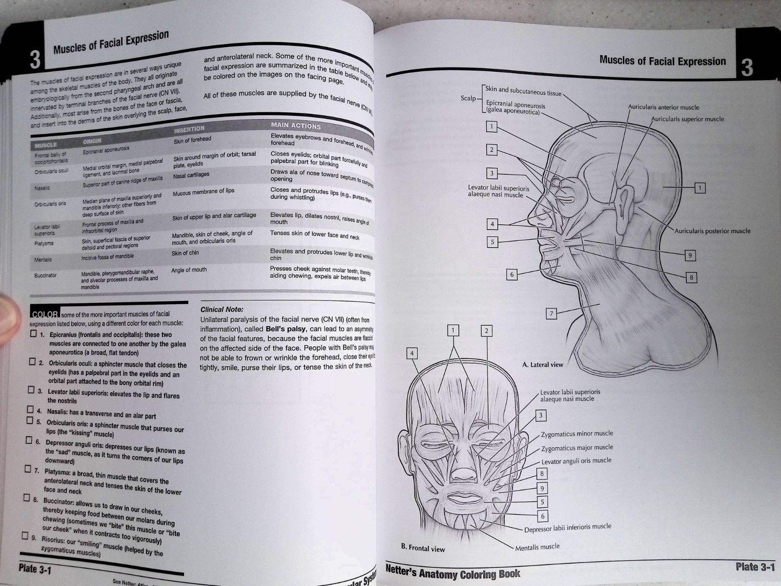 Netter’s Anatomy Coloring Book by – John T. Hansen, 2nd Ed, Large Paperback 2018