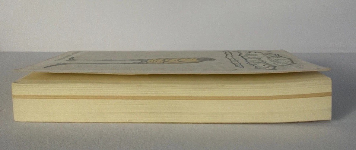 THE AGE OF MADNESS, Thomas S Szasz, 1973 Paperback, Doubleday /Anchor