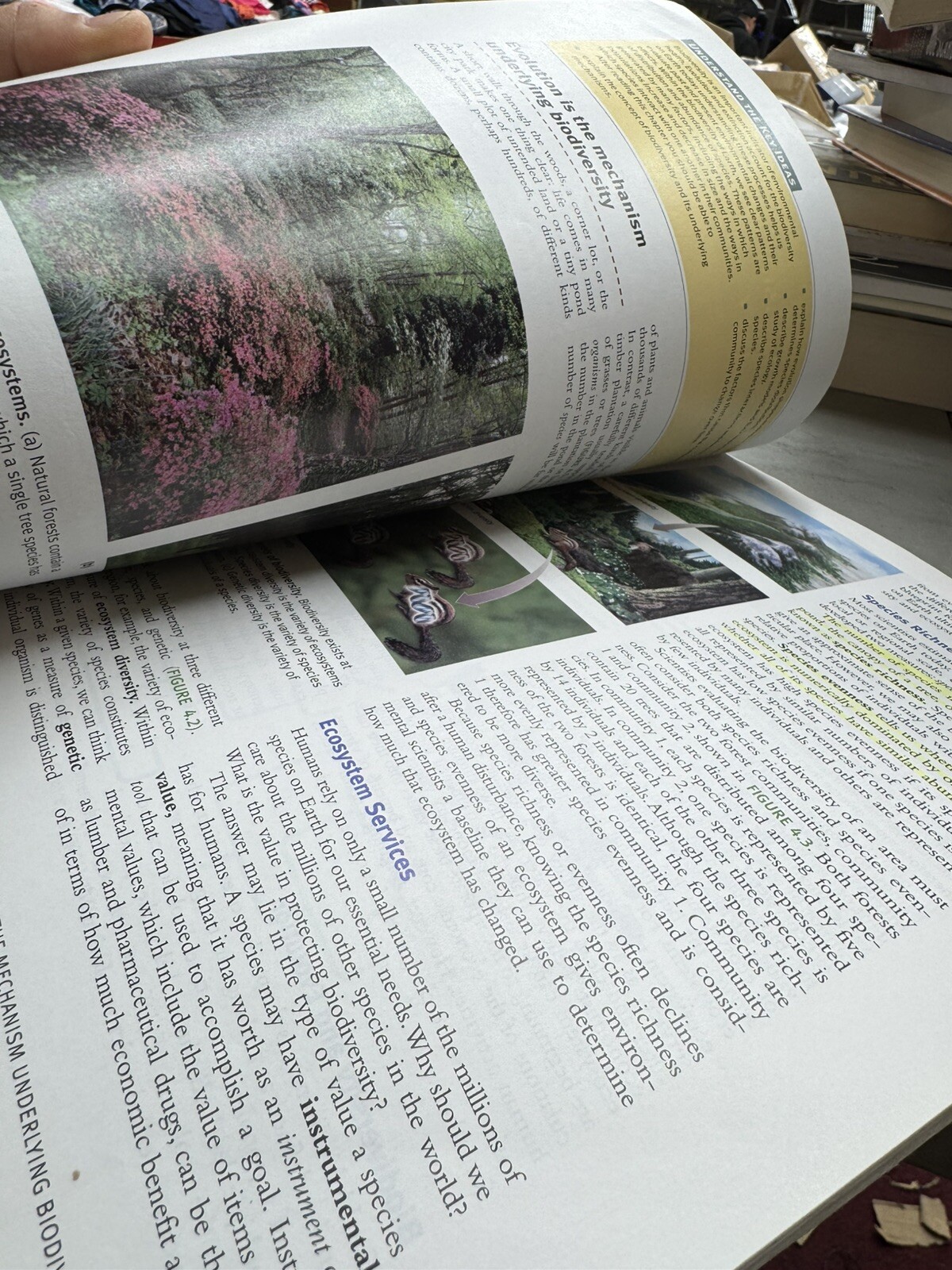 Essentials of Environmental Science by David Courard-Hauri, Rick Relyea and…