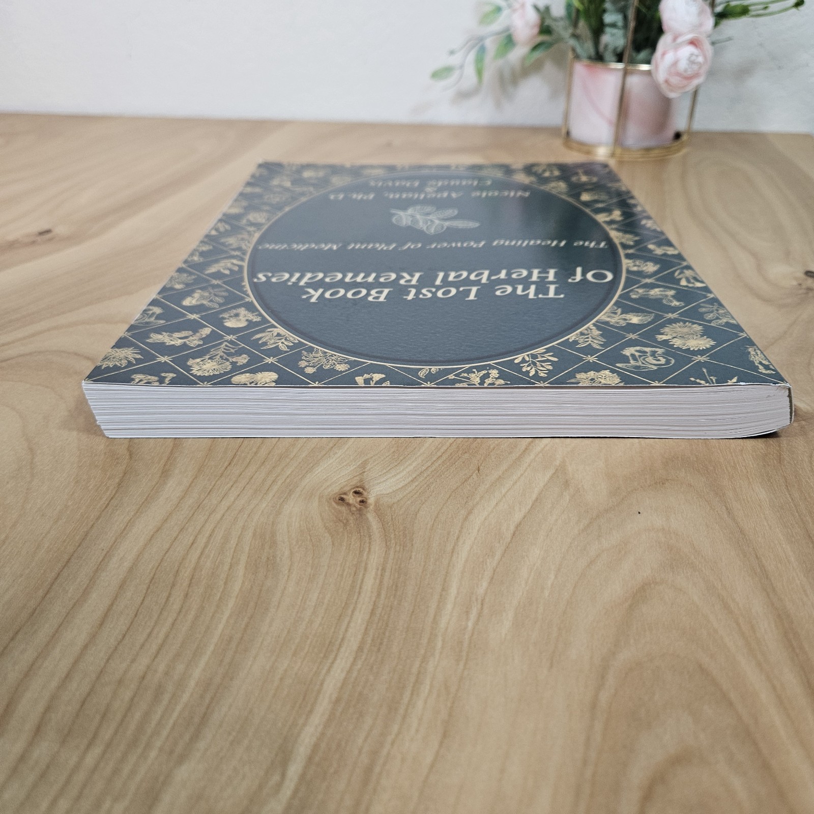 Lost Book of Remedies by Nicole Apelian and Claude Davis Sr.