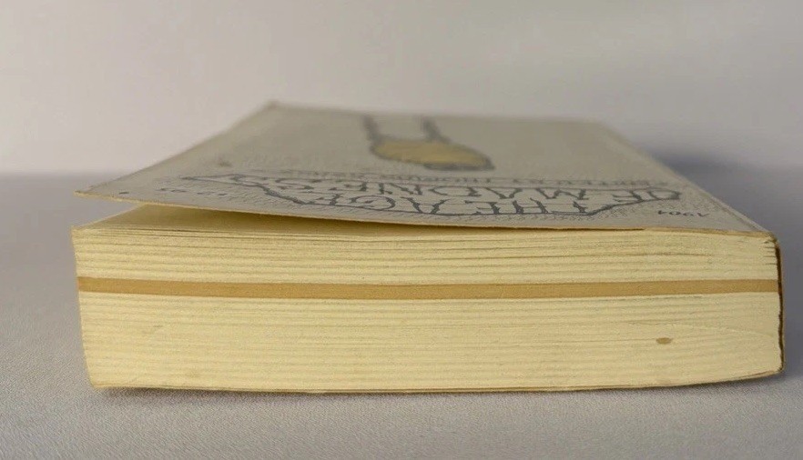 THE AGE OF MADNESS, Thomas S Szasz, 1973 Paperback, Doubleday /Anchor