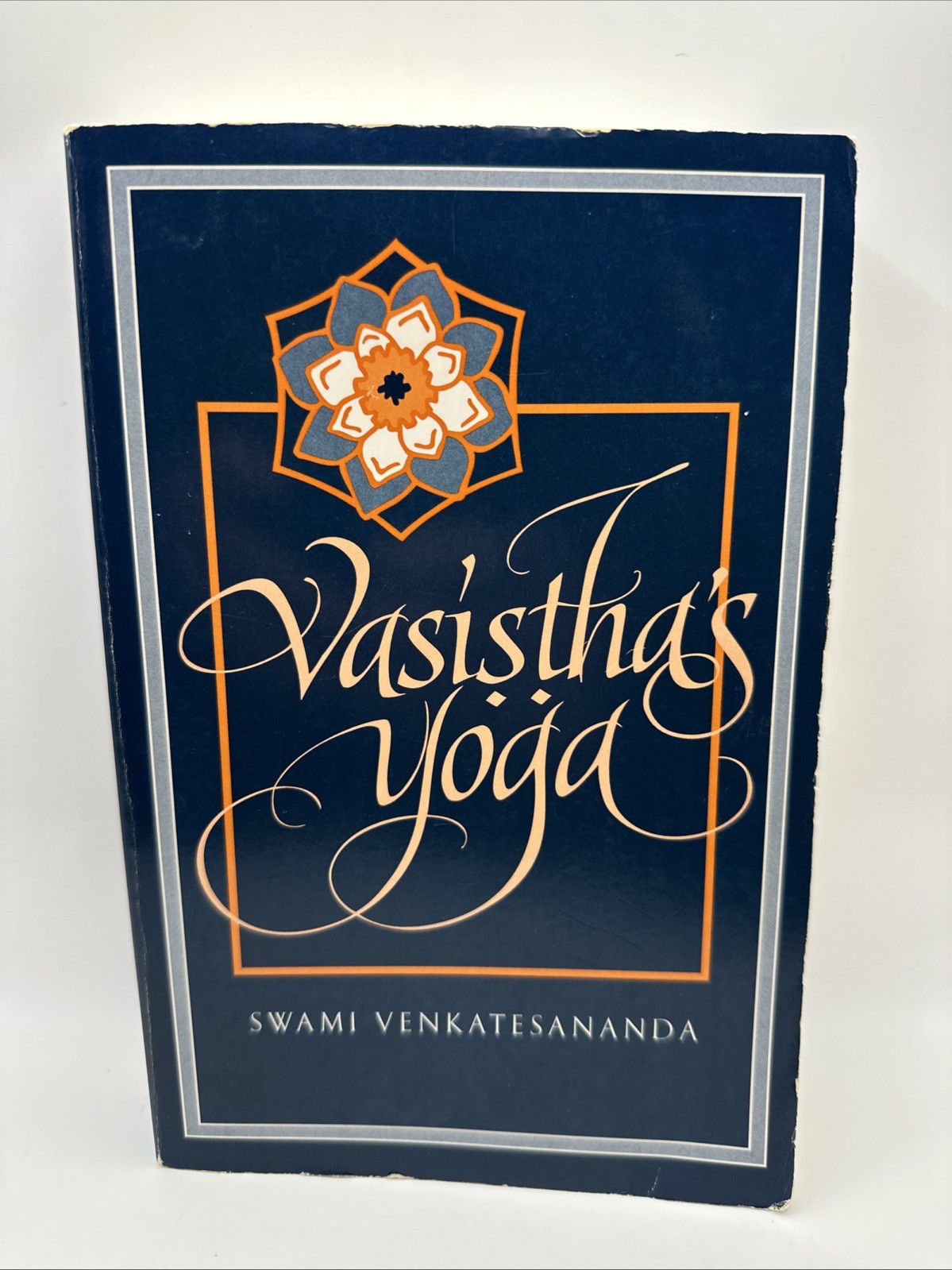 Vasistha’s Yoga by Swami Venkatesananda (1993, Paperback) FREE SHIPPING!