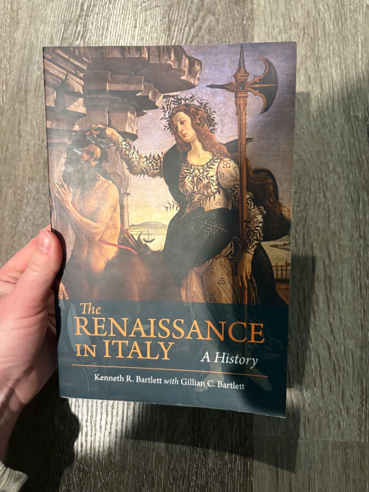 Renaissance in Italy : A History by Kenneth Bartlett (2019, Trade Paperback)