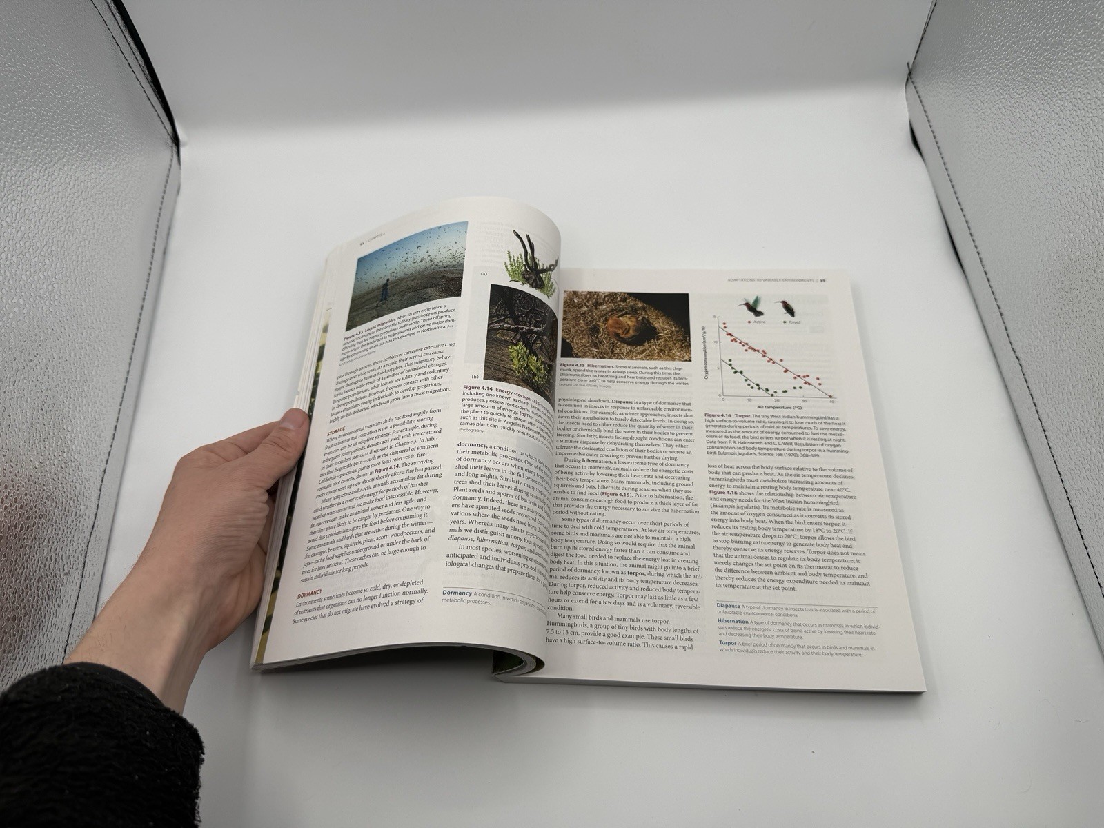 Ecology: The Economy of Nature by Rick Relyea Eight Edition