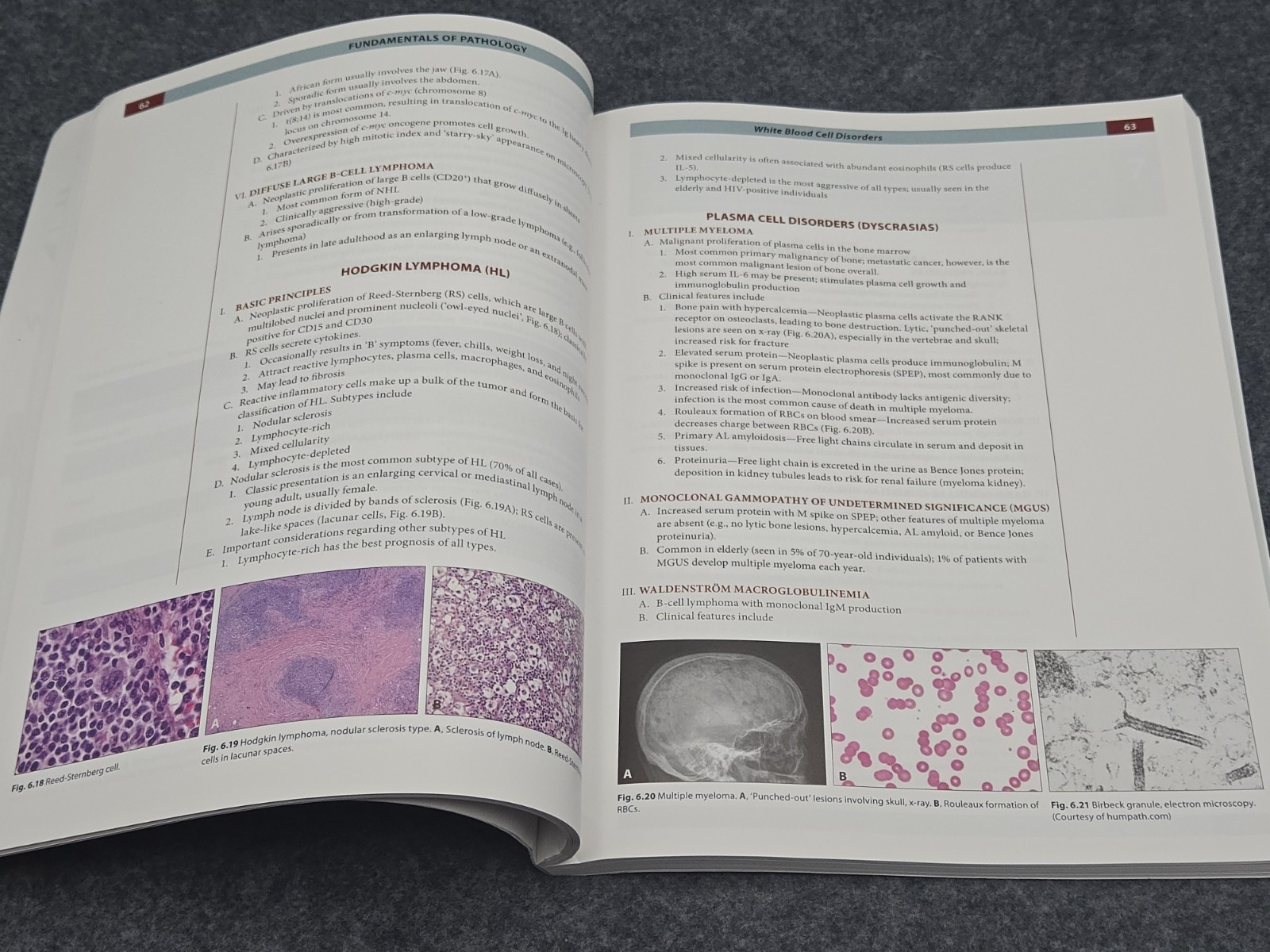 Fundamentals of Pathology by Hussain A sattar pathoma 2016 paperback