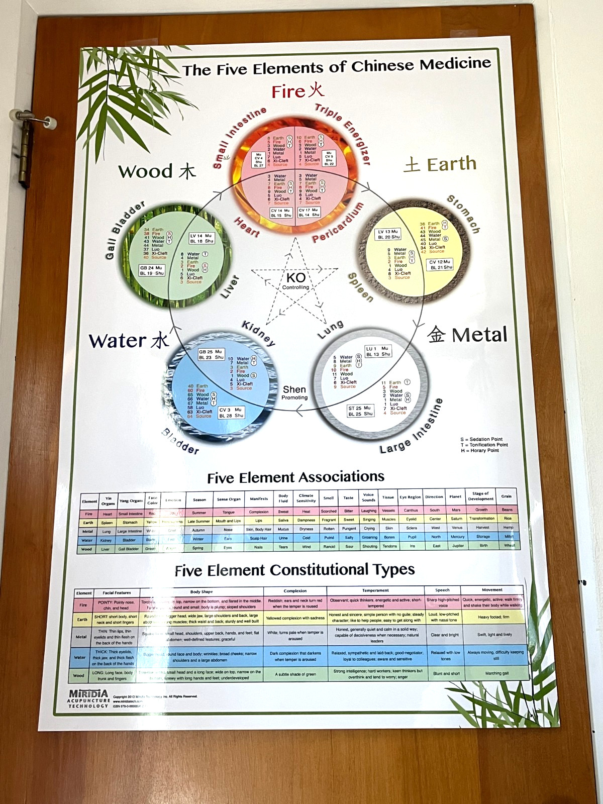 Laminated Wall Chart The Five Elements of Chinese Medicine Miridia Acupuncture