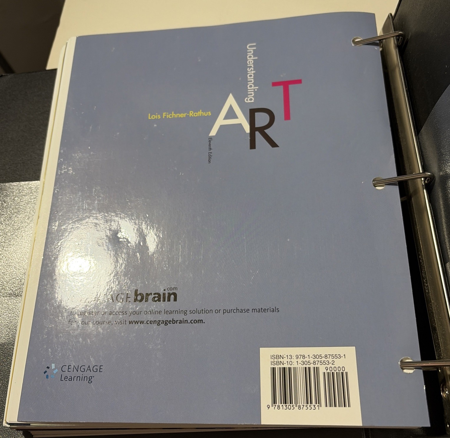 Understanding Art, Loose-Leaf Version – Loose Leaf – very good