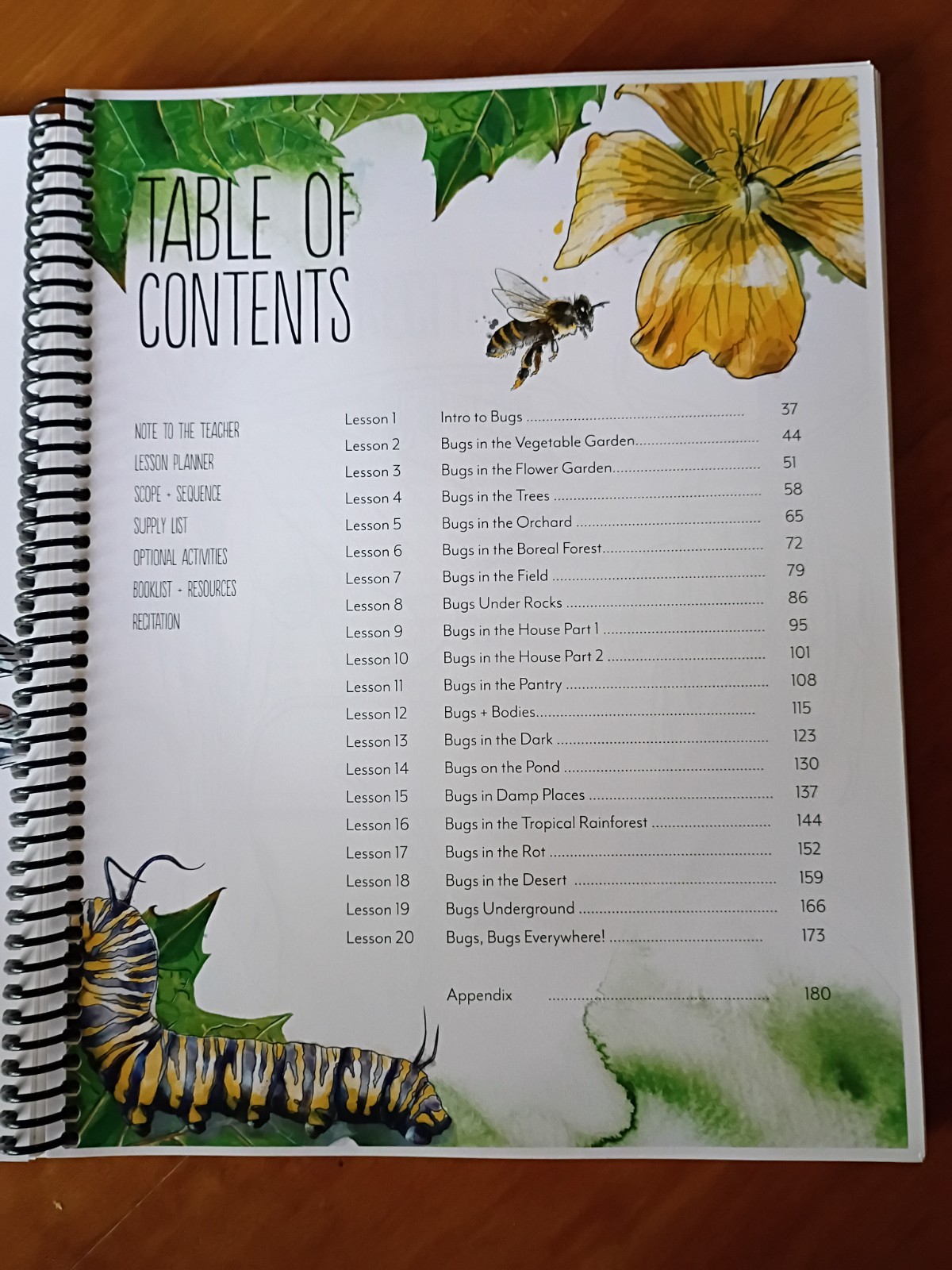 Creepy Crawlies- Gather Round Homeschool