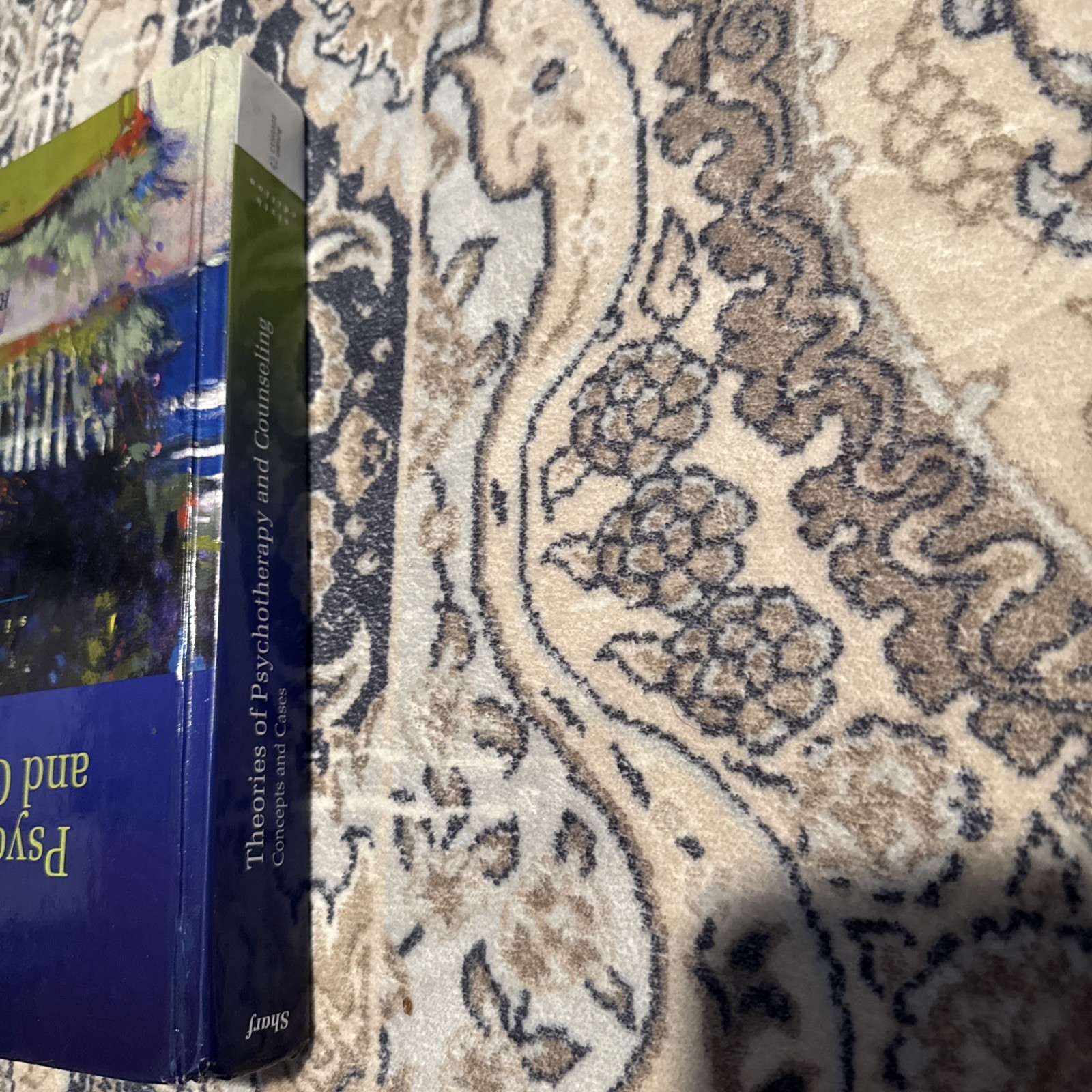 Theories of Psychotherapy & Counseling: Concepts and Cases 6th Edition *GOOD*