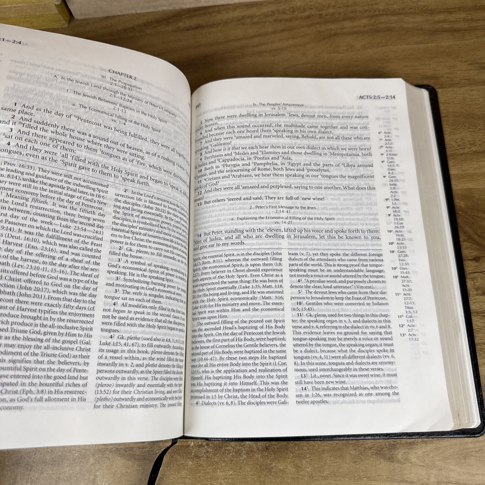 HOLY BIBLE: RECOVERY VERSION By Living Stream Ministry – First Edition 2003